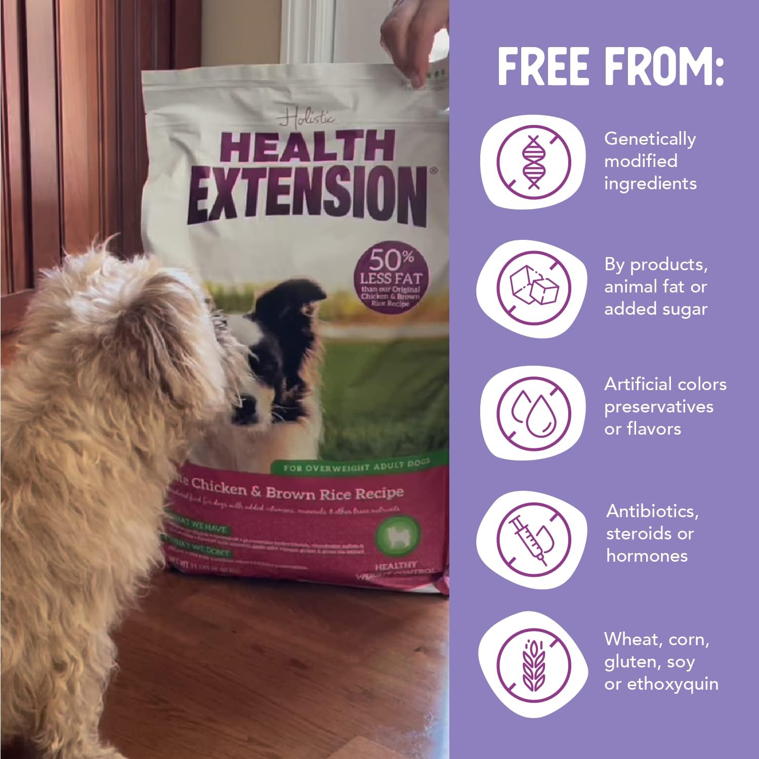 Health Extension Lamb & Brown Rice Dry Dog Food, Protein Packed Formula with Probiotics & Superfoods for Digestion & Coat Health (30 lb)