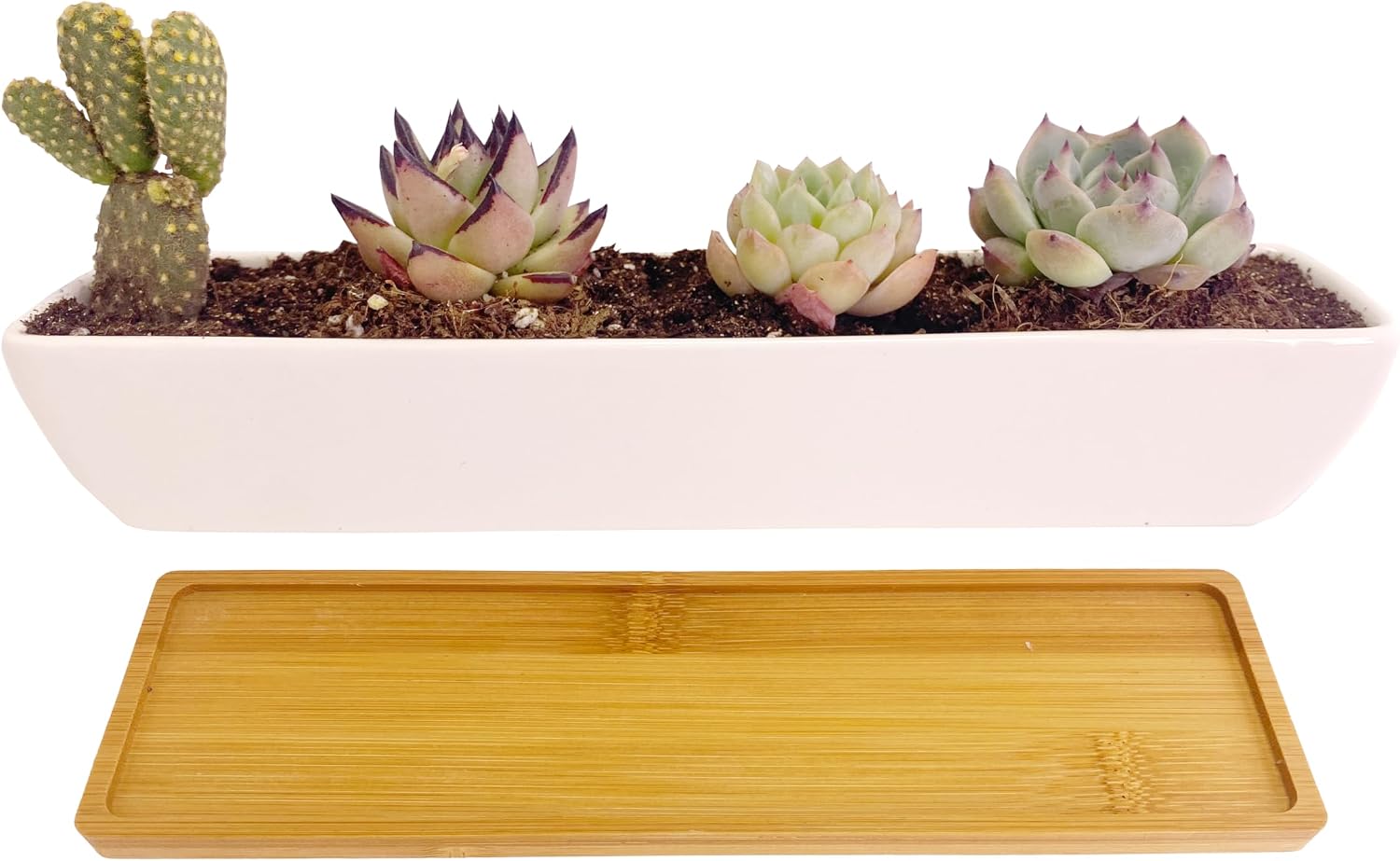 11.1 inch Long Rectangle White Ceramic Succulent Planter Pots/Mini Flower Plant Containers with Bamboo Saucers Plant Window Boxes for Office/Home