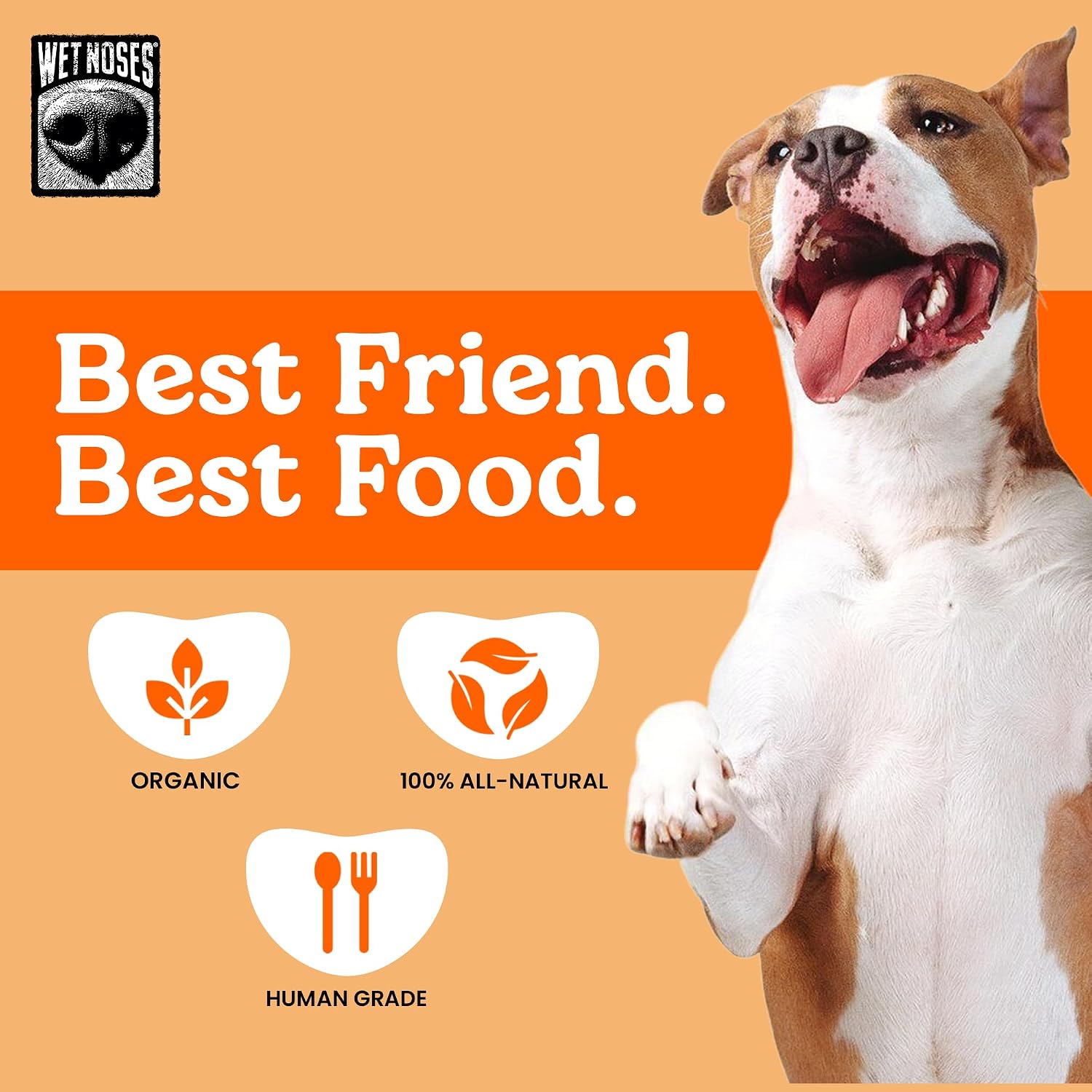 Wet Noses Organic Crunchy Dog Treats – All-Natural, Human-Grade, Non-GMO, Healthy Training & Delicious Snacks for Dogs