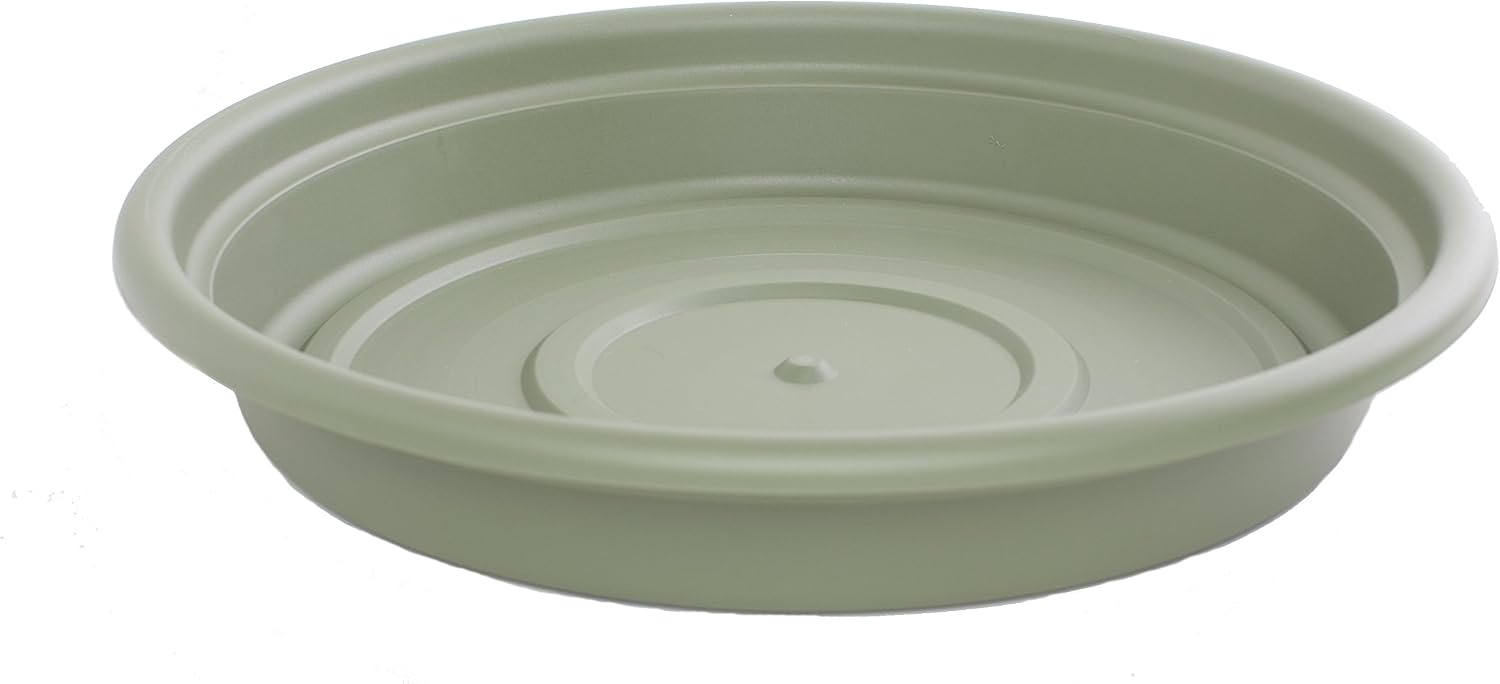 Bloem SDC8-46 Dura Cotta Plant Saucer, Terra Cotta, 8"