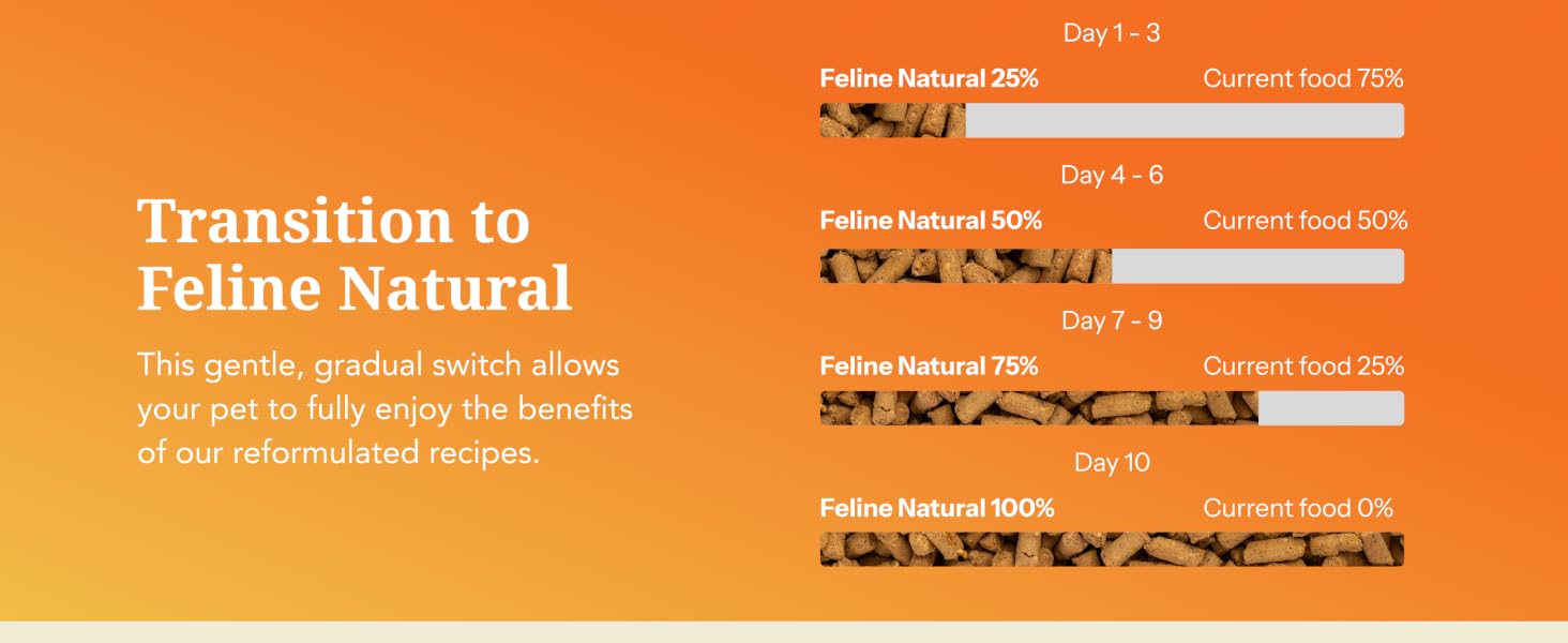 Feline Natural High Protein Dry Cat Food, Freeze-Dried, Beef