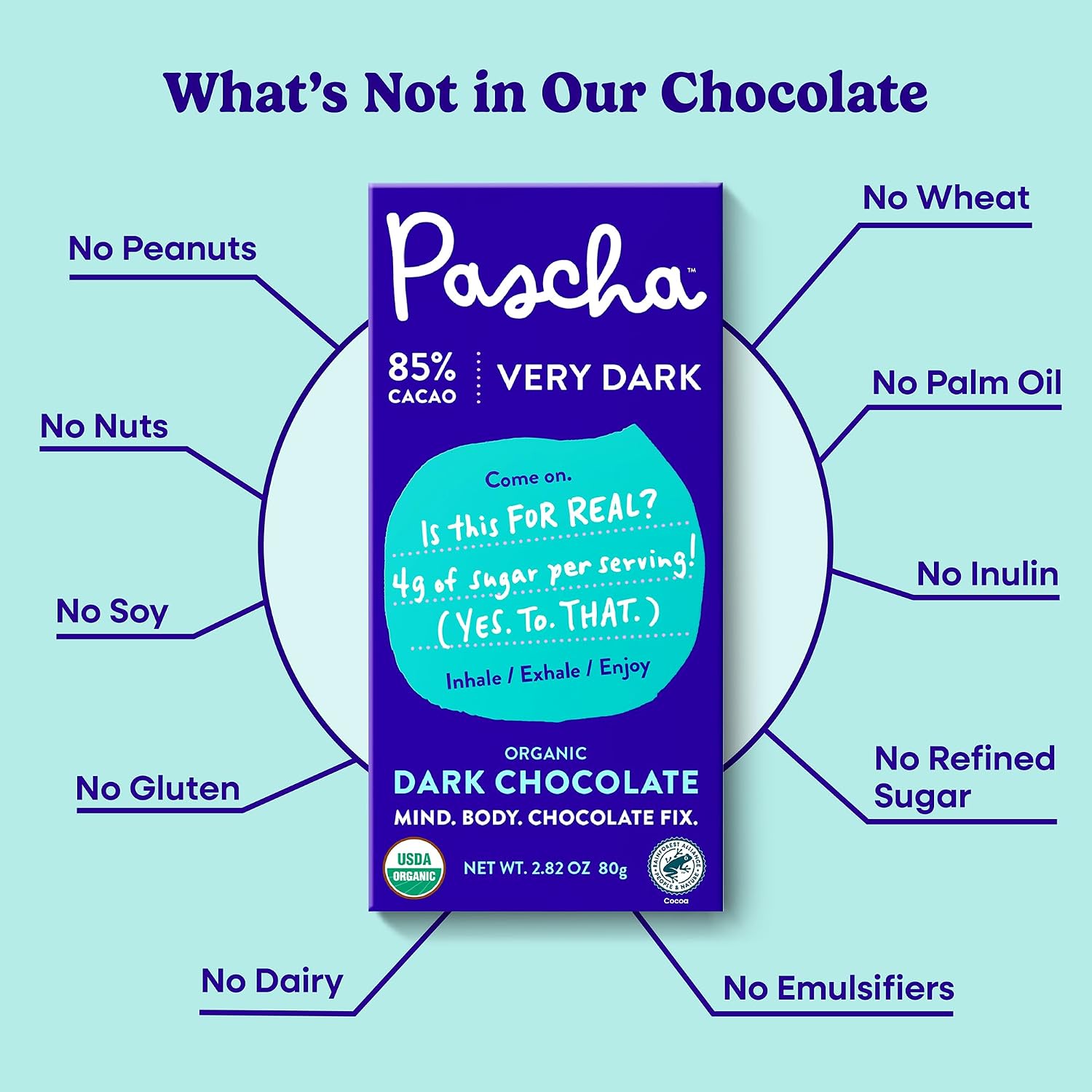 Pascha 85% Cacao Dark Chocolate Bars - Organic, Vegan, 10 Count | Pascha 85% Organic Vegan Dairy Free Dark Chocolate Bars, 10 Count