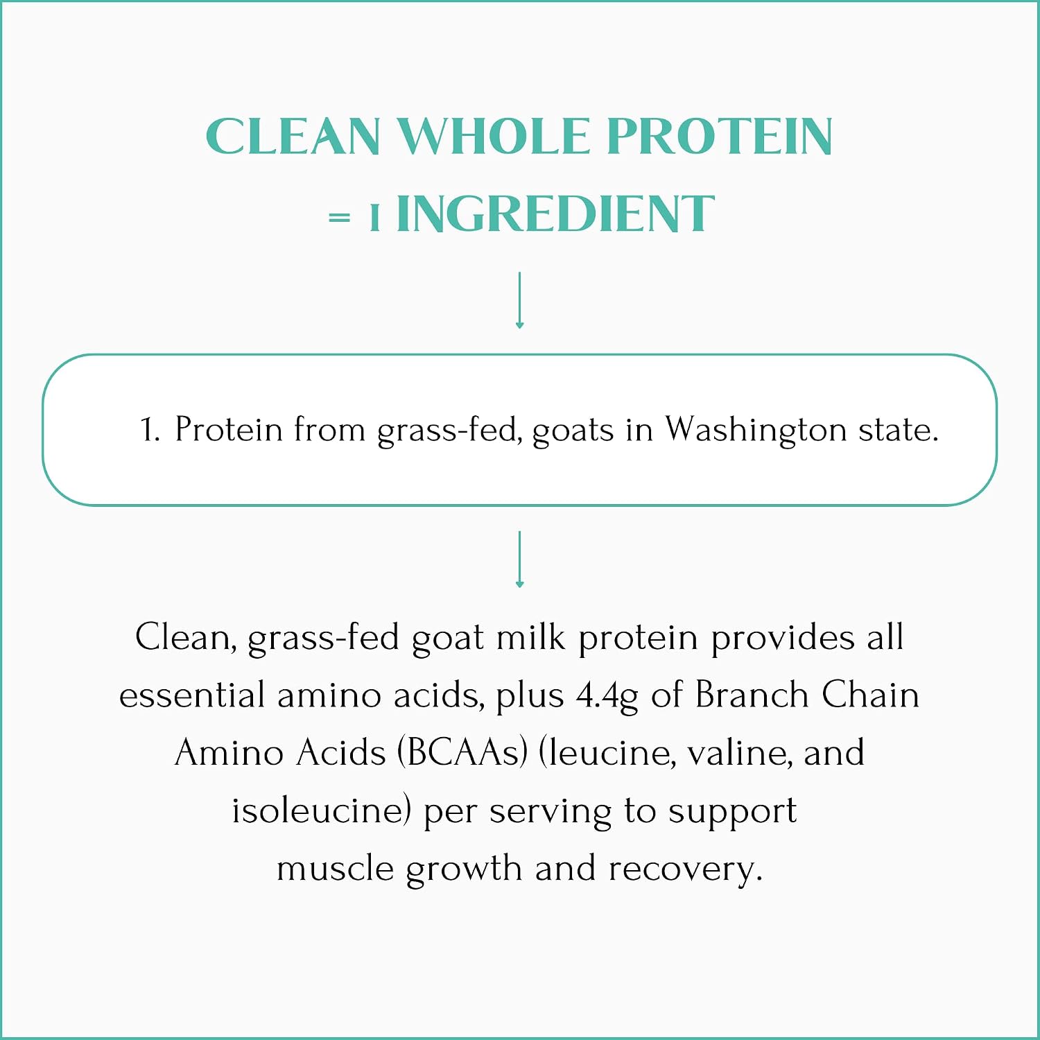 Mt. Capra Clean Whole Protein | Grass-Fed Goat Protein with Whey and Casein Protein | No Bloat, Build and Maintain Muscle, 20 g Protein per Serving