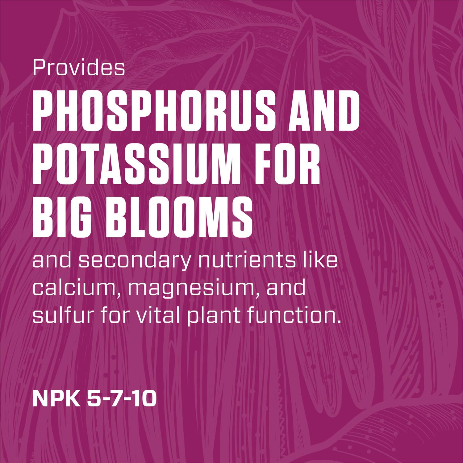 Botanicare Cal-Mag Plus, A Calcium, Magnesium, and Iron Plant Supplement, Corrects Common Plant Deficiencies, Add to Water or Use as a Spray, 2-0-0 NPK, 1-Gallon