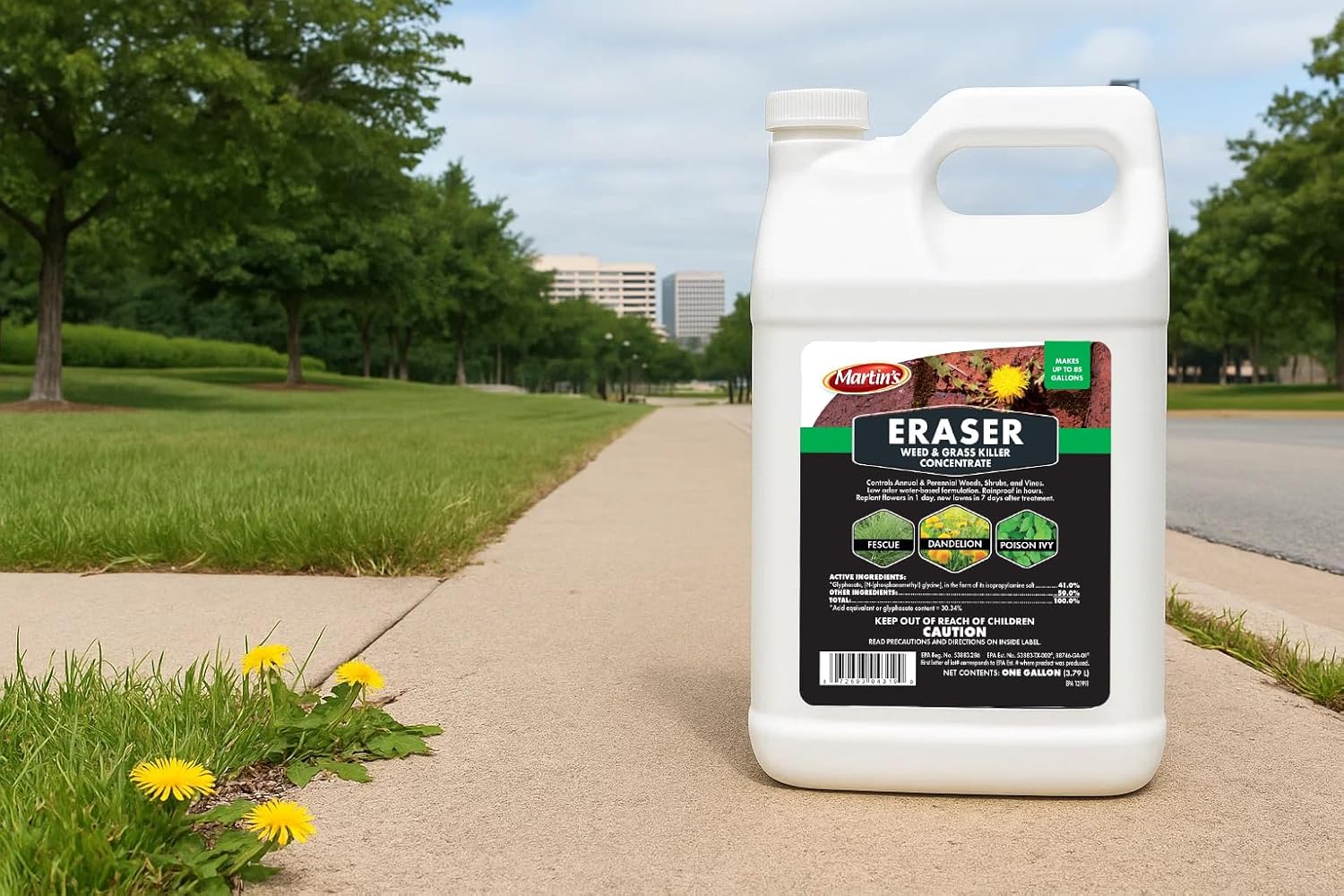 Control Solutions Inc. 82004319 Eraser Weed & Grass Killer Concentrate, 1_Gallon, 128 oz