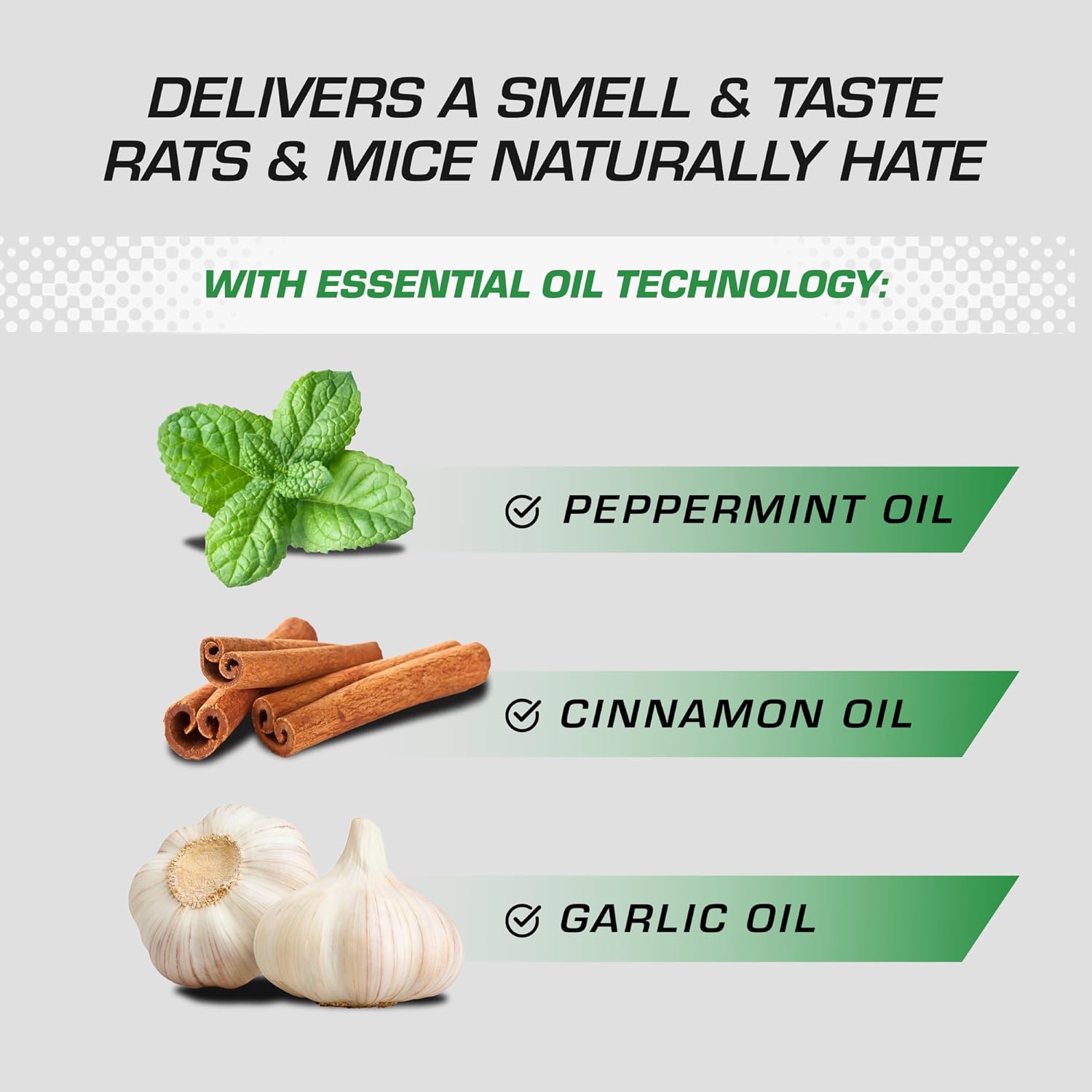 Tomcat Repellents Rodent Repellent Ready-to-Use with Comfort Wand, 1 gal. | For Indoor and Outdoor Mouse and Rat Prevention, Peppermint Oil Spray for Rodents with Cinnamon & Garlic Essential Oils