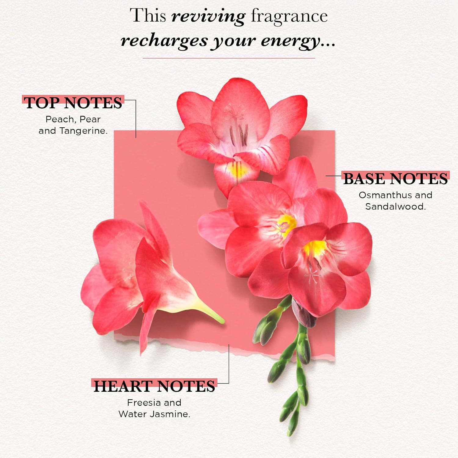 Solinotes Rose Eau de Parfum, Lychee & Magnolia, for Women & Men, 15ml