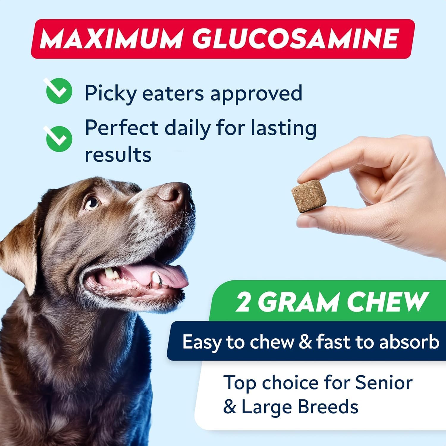 Advanced Glucosamine for Dogs, Chondroitin & MSM Hip Joint Supplement Chews
