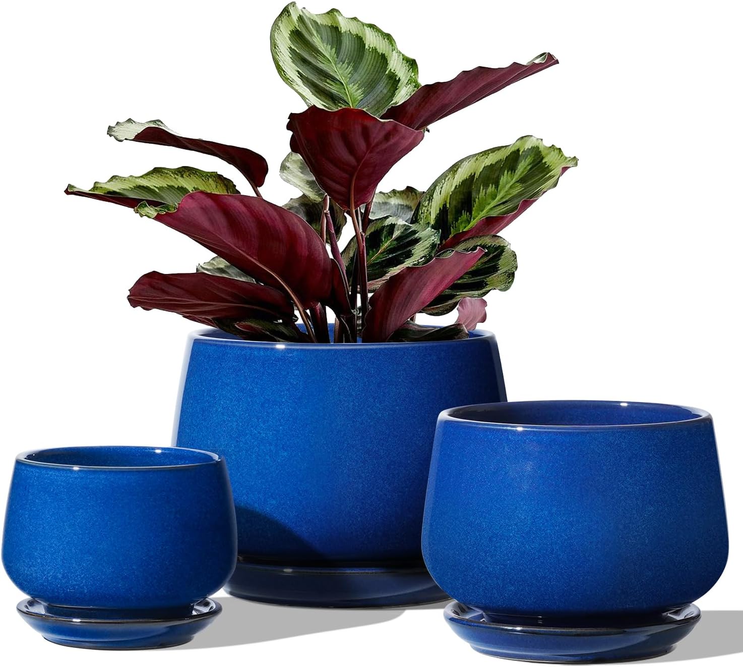 LE TAUCI Plant Pots, 4.1+5.1+6.5 inch, Set of 3, Ceramic Planters with Drainage Hole and Saucer, Indoor Flower Pot with Hole Mesh Pad, Gifts for Mom