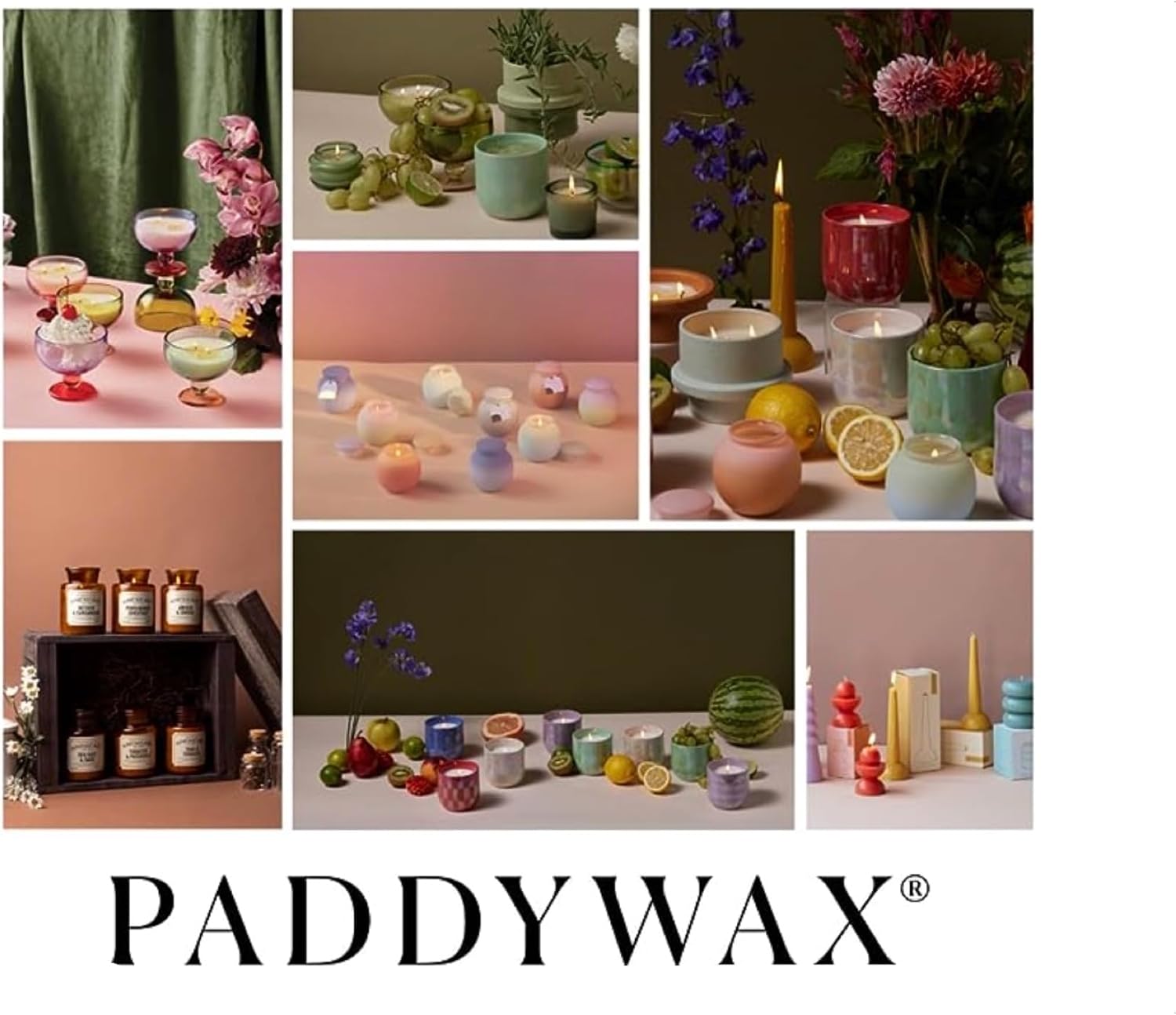 Paddywax Relish Soy Wax Artisan Candle, Balsam + Fir, 9.5 oz | Scented Candle in Glass Jar with Lid