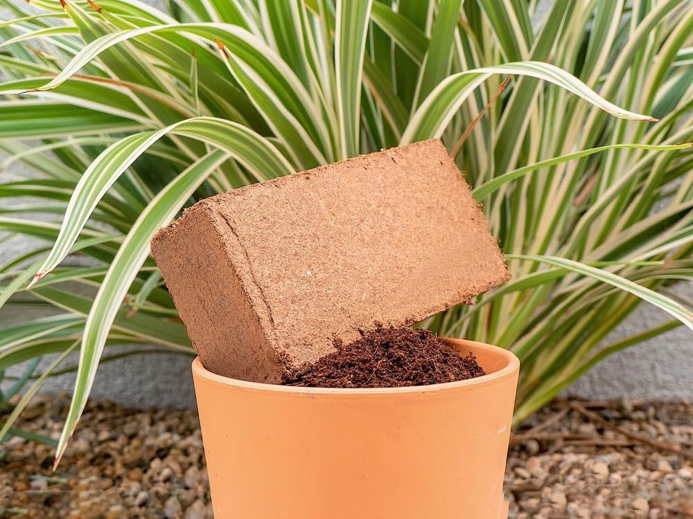 Envelor Organic Coco Coir Brick 10 Lbs. Coir Block Coconut Fiber Growing Medium Potting Soil Mix Coco Peat Media Coir Pith Indoor Outdoor Planters Vegetable Garden Beds