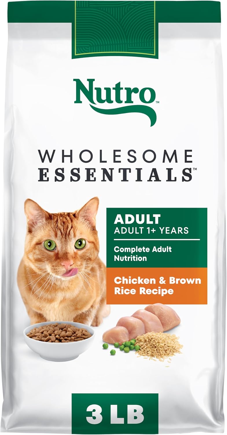 Nutro Wholesome Essentials Adult Dry Cat Food, Salmon & Brown Rice, 3 lb | Real salmon #1 ingredient, Omega-6 for skin & coat, prebiotic fiber for digestion, Vitamin E & Selenium antioxidants