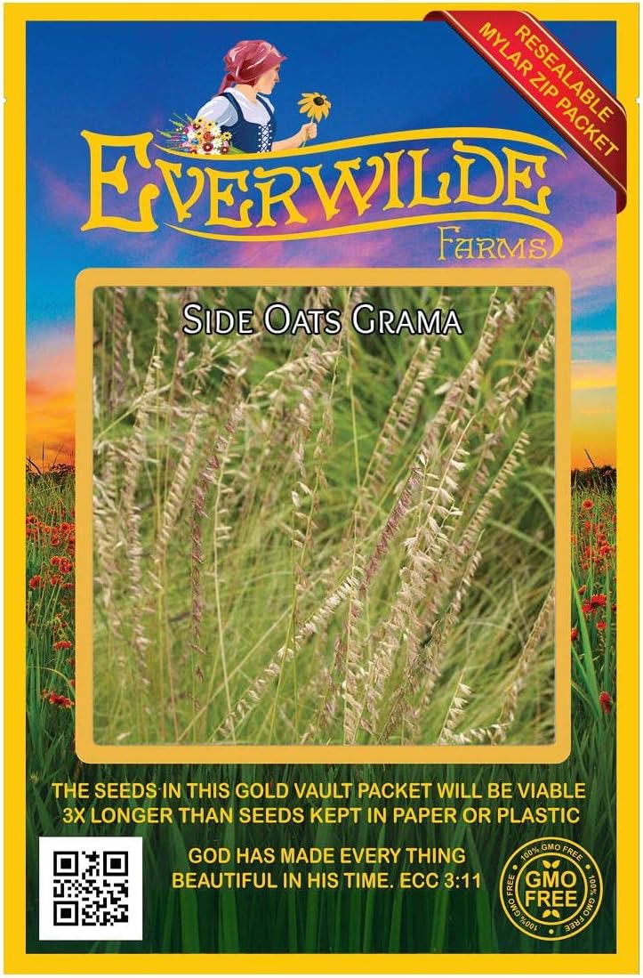 1 Lb Side-Oats Grama Native Grass Seeds - Gold Vault