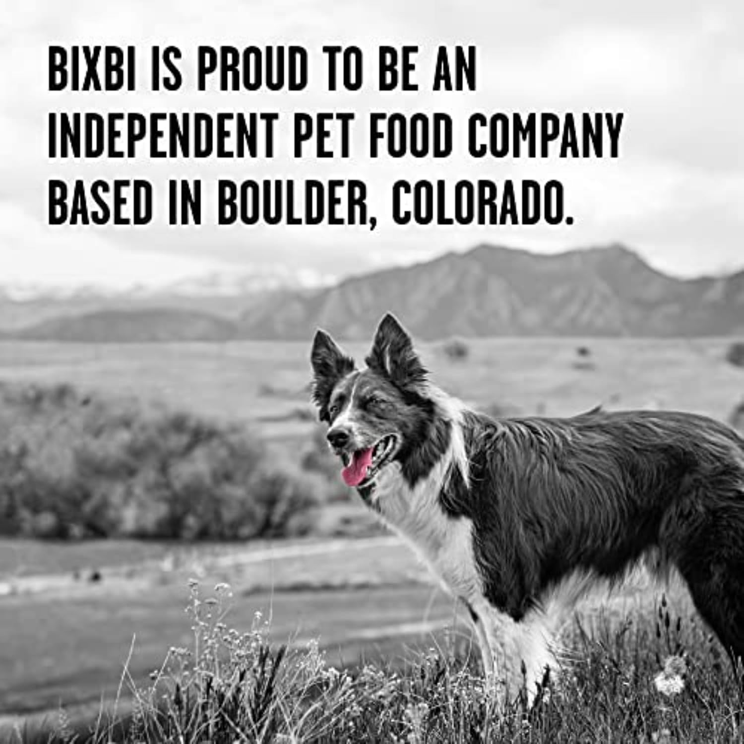 BIXBI Liberty Freeze-Dried Dog Food Topper & Treats, Beef – 98% Meat & Organs, No Refrigeration – USA Made, 26 oz