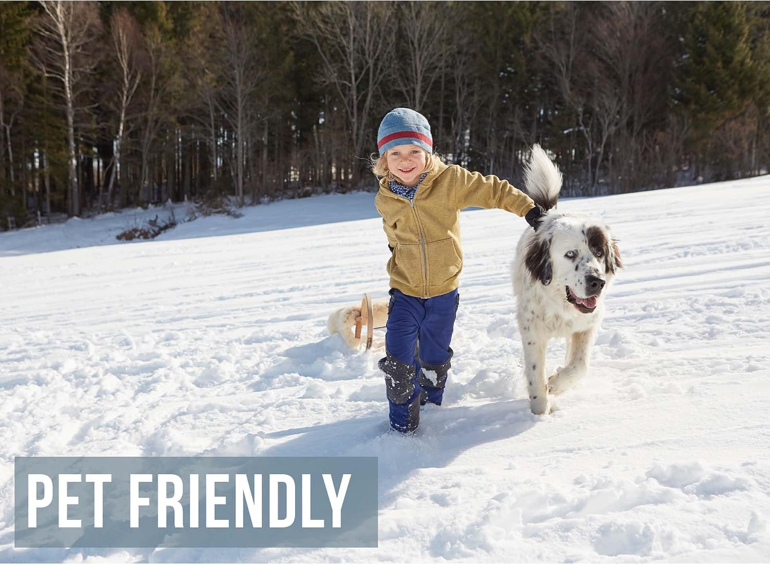 Earthborn Elements Snow Melt 1 Gallon, Fast-Acting & Powerful, Pet & Eco-Friendly Pellets