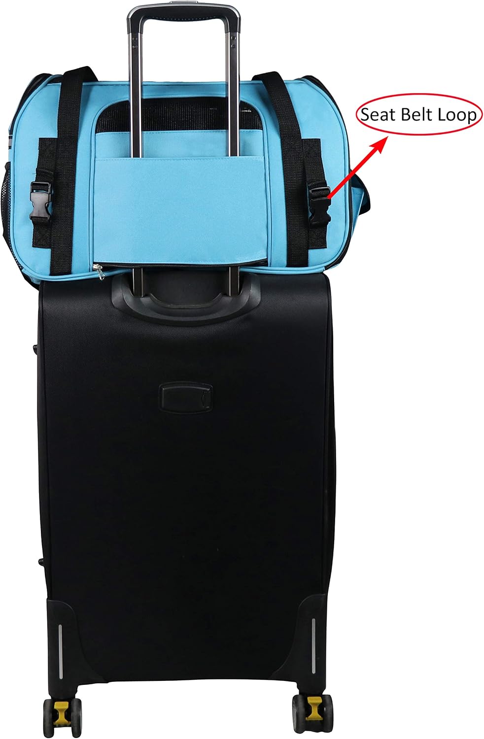 EliteField Soft-Sided Pet Carrier for Cats & Small Dogs (3-Year Warranty) | Airline Approved, Removable Bed & Cover, Built-In Leash, Luggage Sleeve, Seat Belt Loop, Waterproof, Durable, Foldable