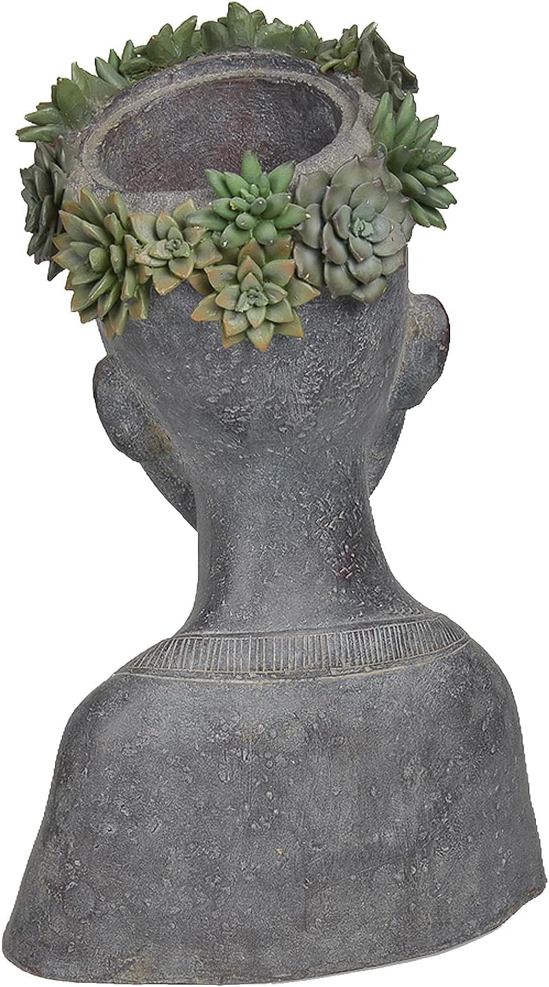 Newman House Studio Face Cactus Succulents Planter Pot - Indoor Outdoor Planter with Drainage Hole Garden Statues Cute Plants Pot Flower Pot