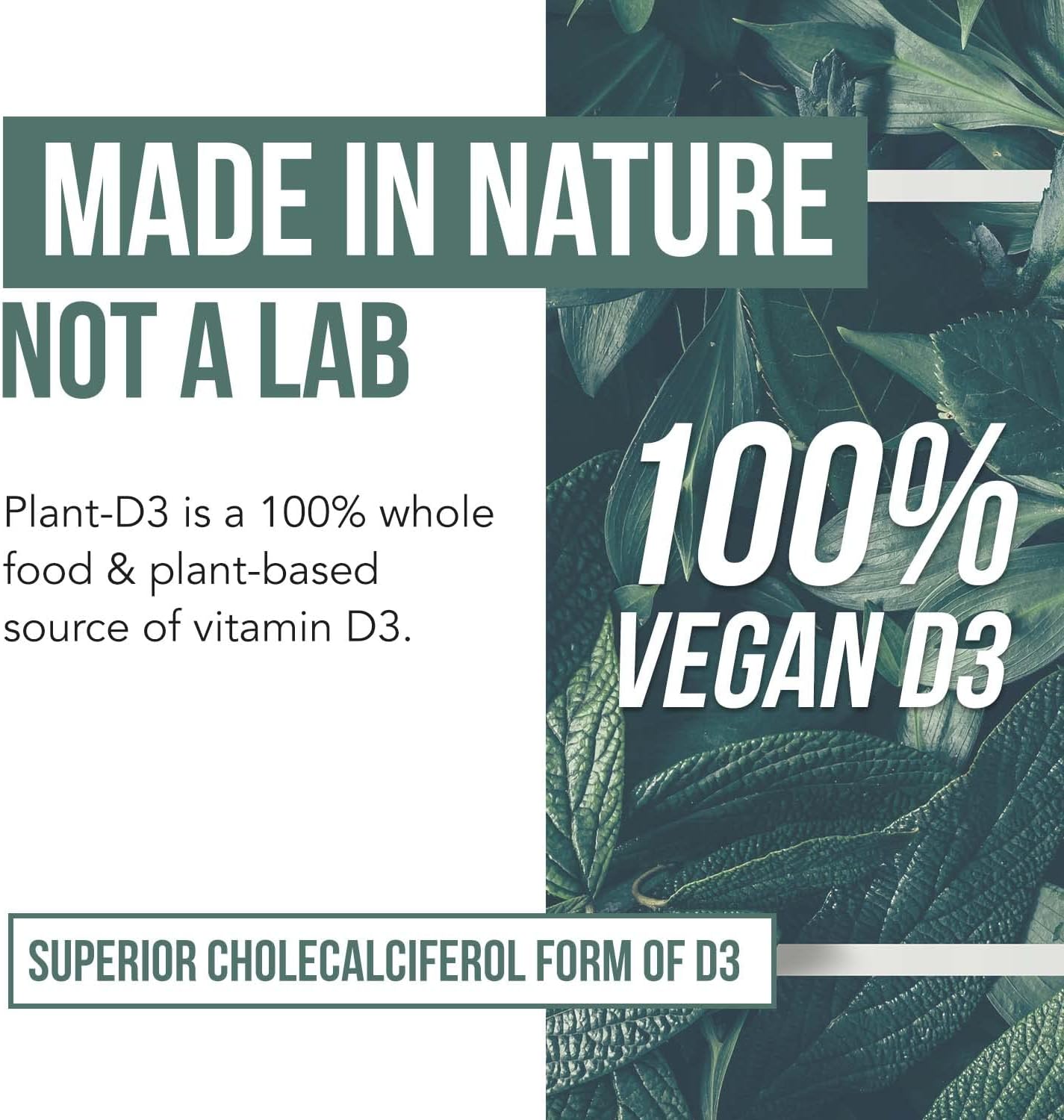 Plant-D3 Organic Vitamin D3 5000 IU - Vegan