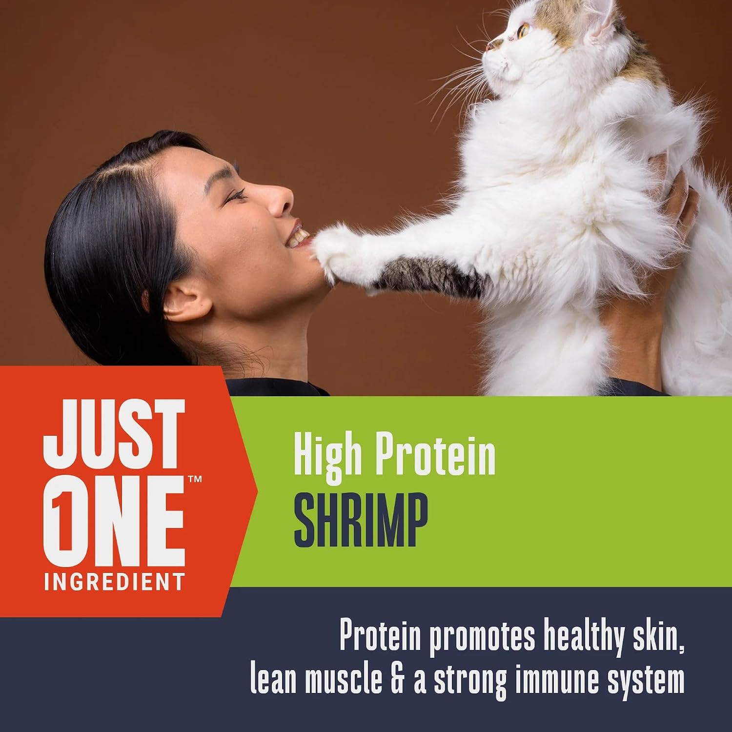 Whole Life Cat Just One Salmon Freeze Dried Cat Treats - Human Grade High Protein Food, Healthy Training Snacks, Freeze Dried Salmon Food Toppers, USA Made Natural Treats - 1 oz (Pack of 1)