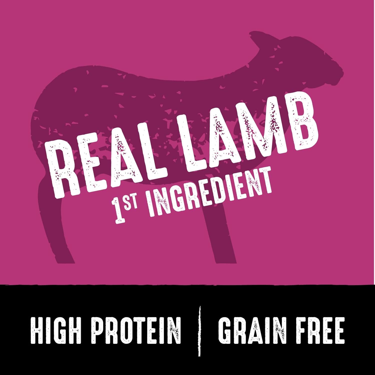 CRAVE Grain Free High Protein Natural Adult Dry Dog Food, Lamb, 4 lb | 34% protein, real animal protein, no by-product meal, no corn, wheat, soy, no artificial flavors, energy support