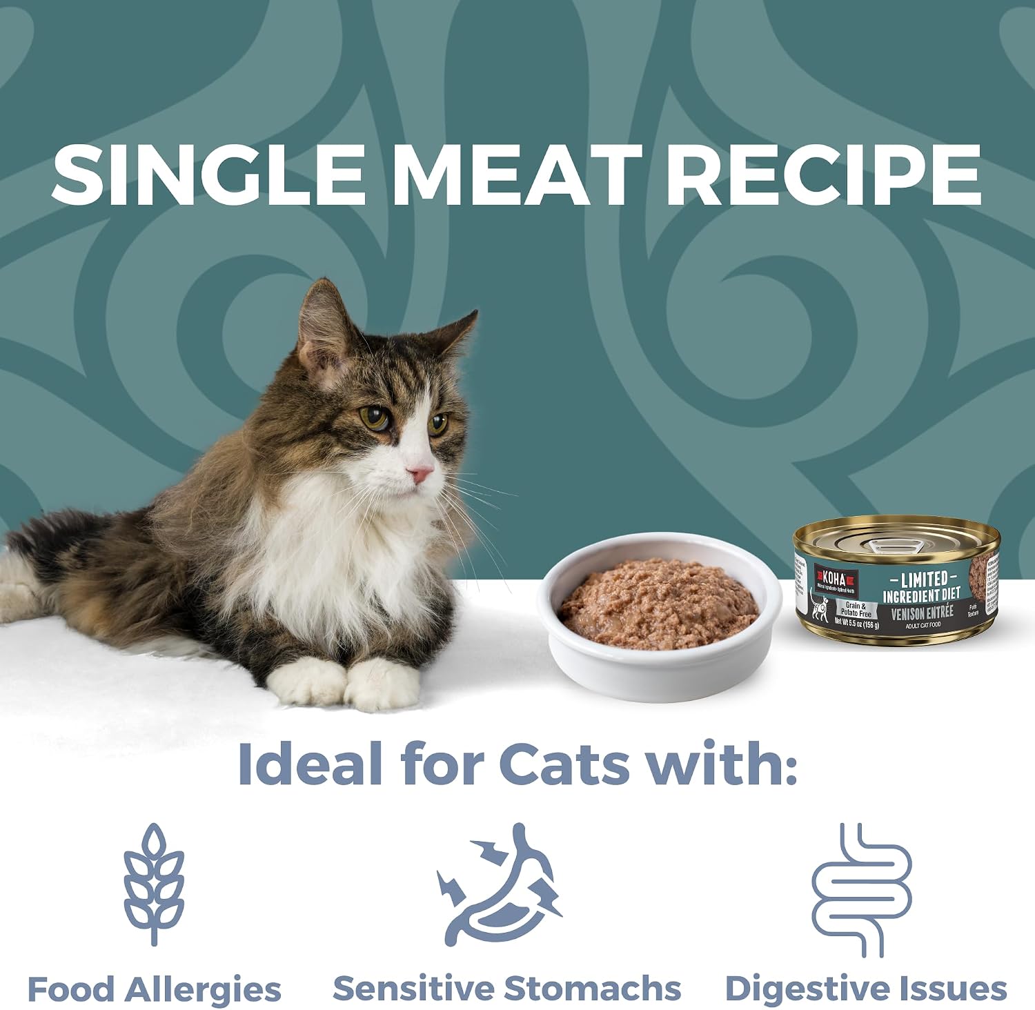 KOHA Limited Ingredient Diet Kangaroo Pate for Cats, 5.5 oz Pack of 24 | Single meat protein, sensitive stomach formula, no fillers, wet cat food, made in USA