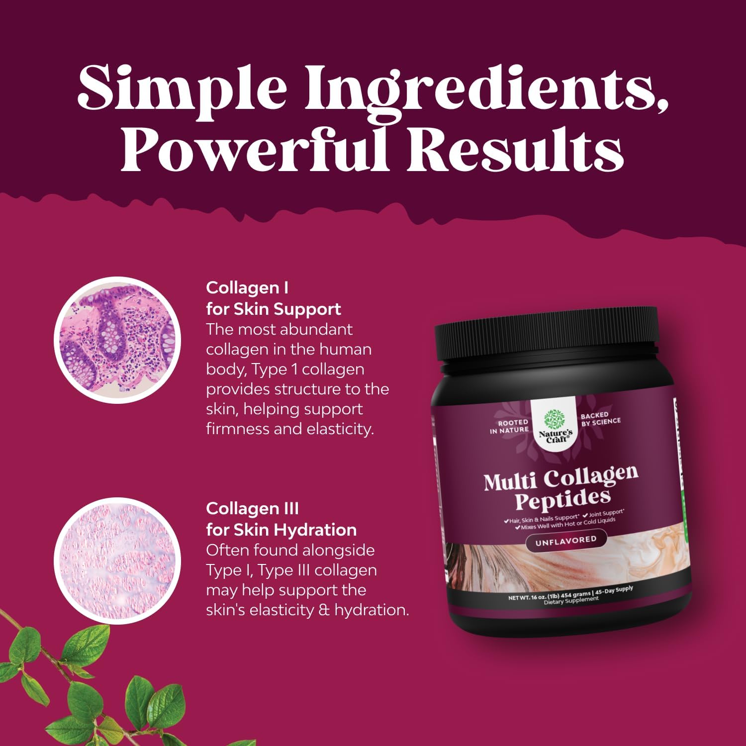 Advanced Multi Collagen Complex - Ageless Multi Collagen Peptides Supplements with Type 1 2 3 5 & X & Biotin for Hair