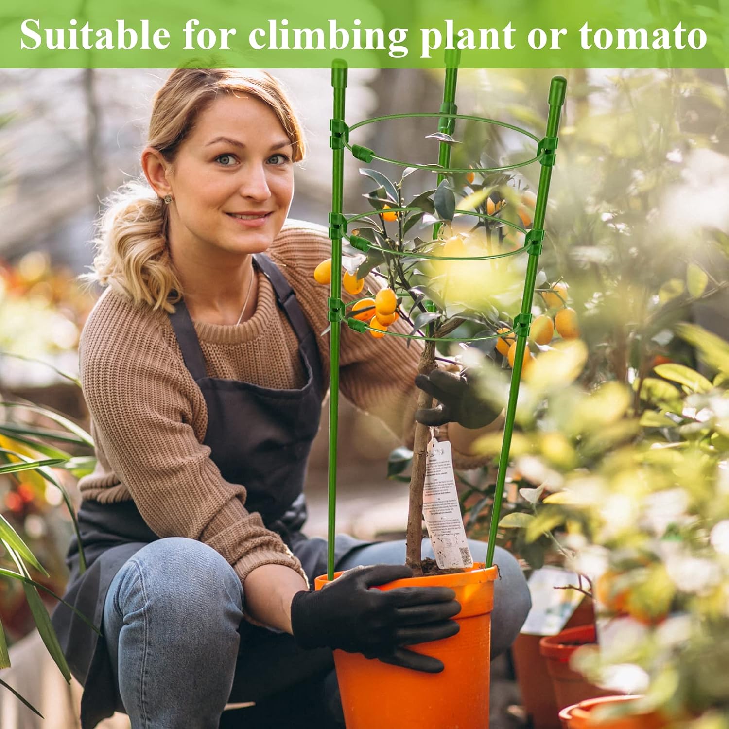 Legigo 3 Packs Plant Support Cages Tomato Cage for Garden- 18 Inch Adjustable Garden Cucumber Trellis Plant Stakes