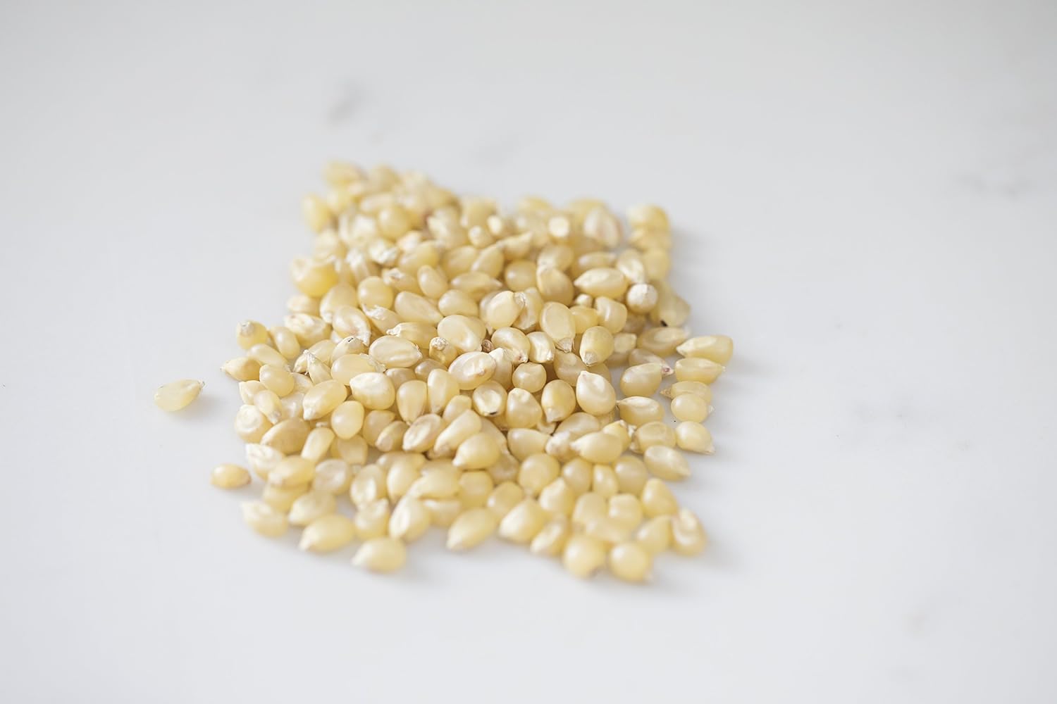 Amish Country Popcorn | 6 lb Bag | Medium White Popcorn Kernels | Old Fashioned, Non-GMO and Gluten Free (Medium White - 6 lb Bag)