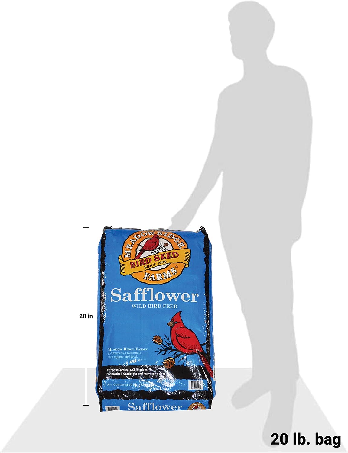 Safflower Bird Seed, 20-Pound Bag