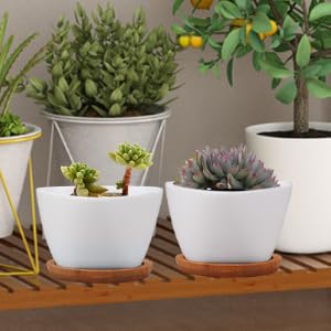 pots