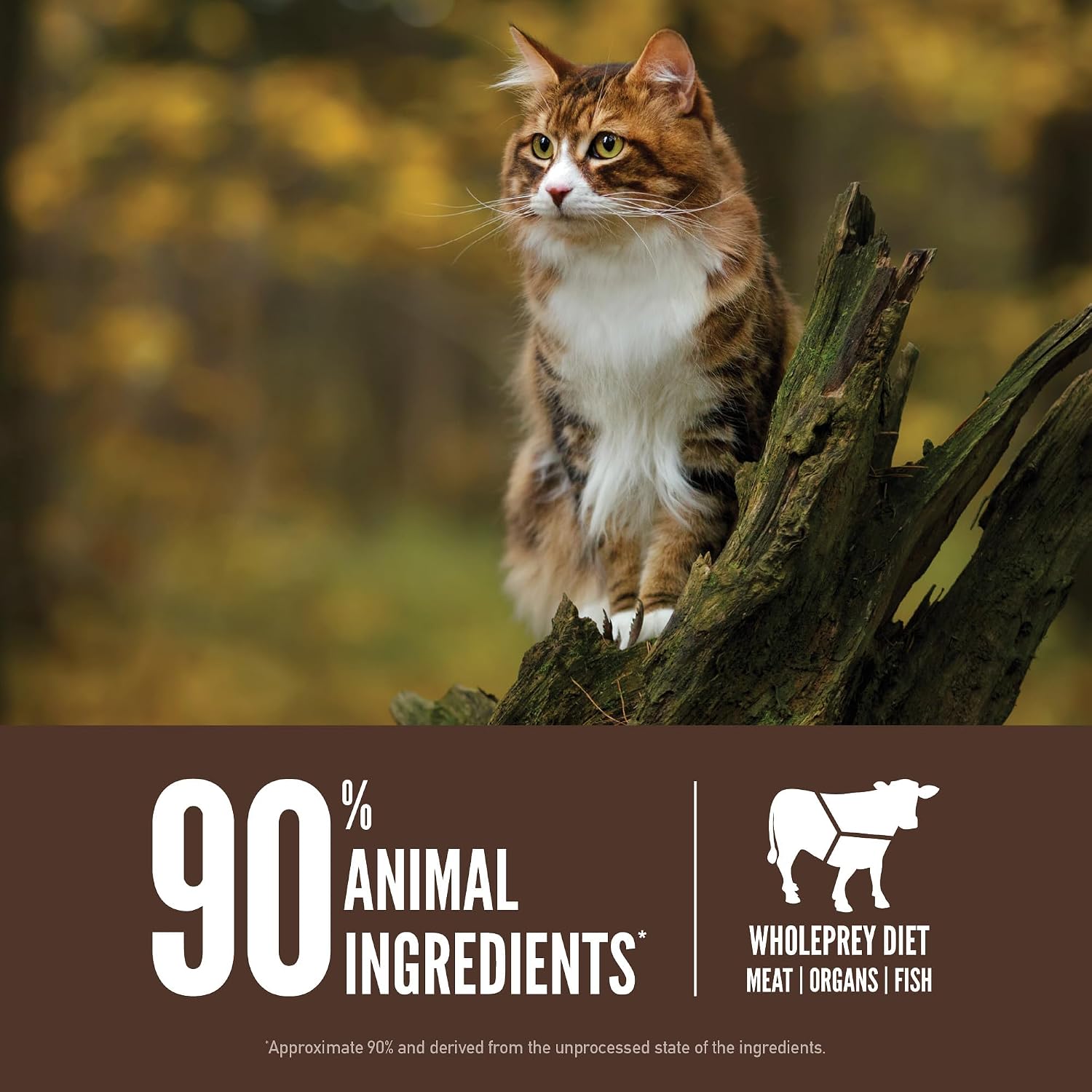 ORIJEN Grain Free WHOLEPREY Dry Cat Food Original Recipe 4lb. Bag | 90% Animal Ingredients, Freeze Dried, Fresh or Raw Ingredients, High Protein, Heart Health, Free-Run Poultry