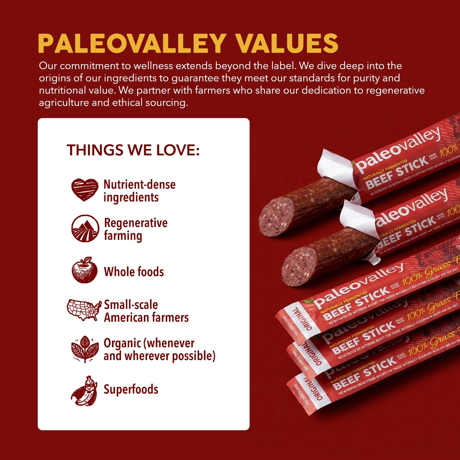 Paleovalley 100% Grass Fed Beef Sticks, Protein Snacks, Original | 10 Count, Individually Wrapped, Naturally Fermented, Gluten Free, Keto and Paleo, Made With Simple Ingredients, 6g Protein