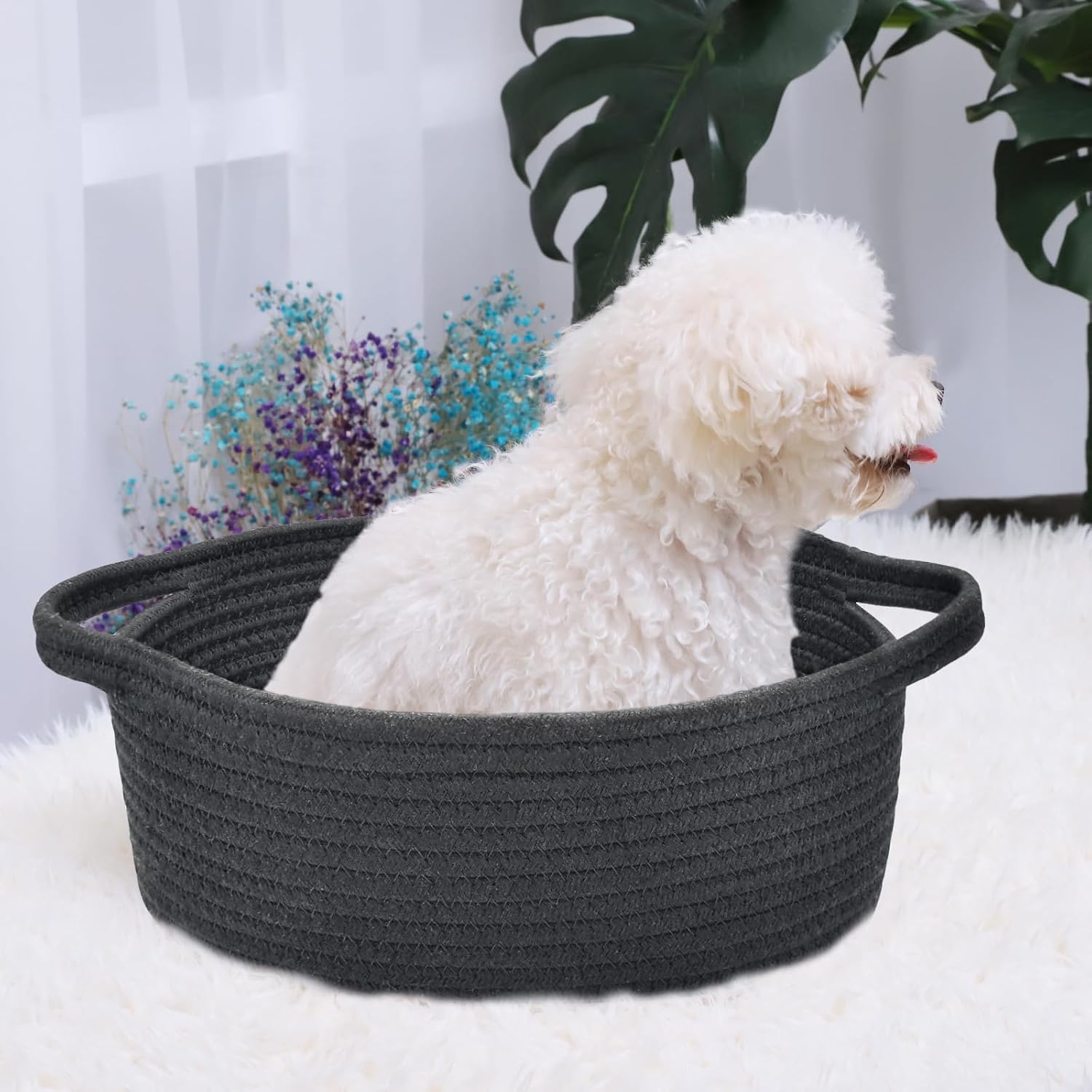 ABenkle Small Basket with Handles, Boho Decorative Rope Woven Dog Cat Toy Storage Bin Shelf Storage Organizer, Easter Christmas Gift Basket, 12"x8"x5"