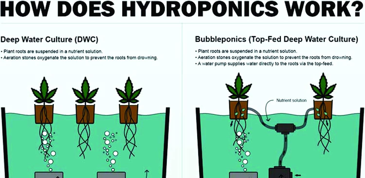 The Atwater HydroPod - DWC Deep Water Culture Garden System Kit - 5 Gallon Bubble Bucket - Bubbleponics - Nutrients & pH Testing/Adjusting Kits are