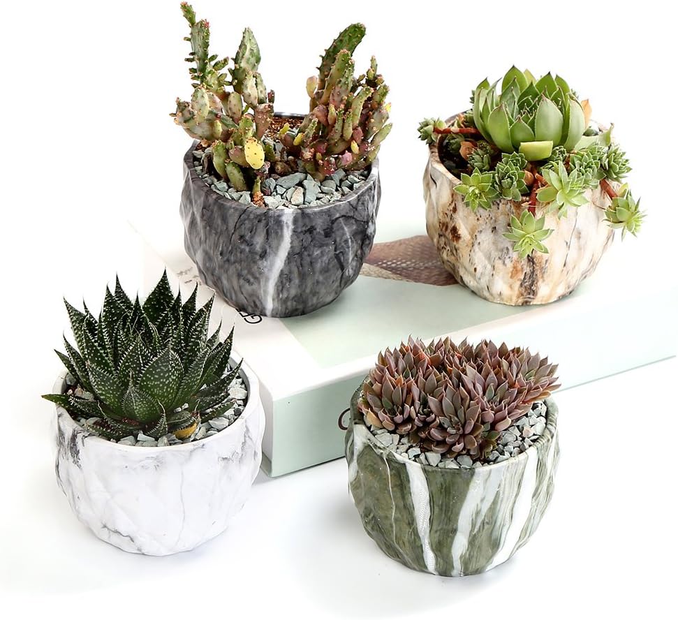 SE SUN-E Sun-E Modern Style Marbling Ceramic Flower Pot Succulent/Cactus Planter Pots Container Bonsai Planters with Hole 3.35 Inch Gift Idea(4 in