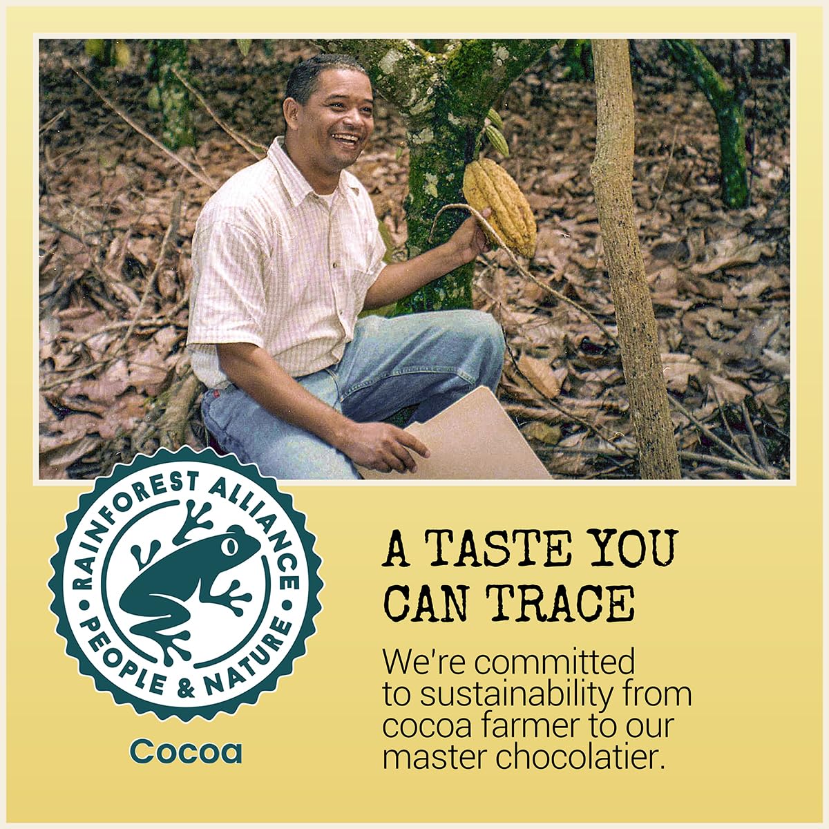 Chocolove Dark Chocolate Bars | 55% Cocoa | Crafted with Smooth Semi-sweet Premium Chocolate | Non GMO, Rainforest Alliance Certified