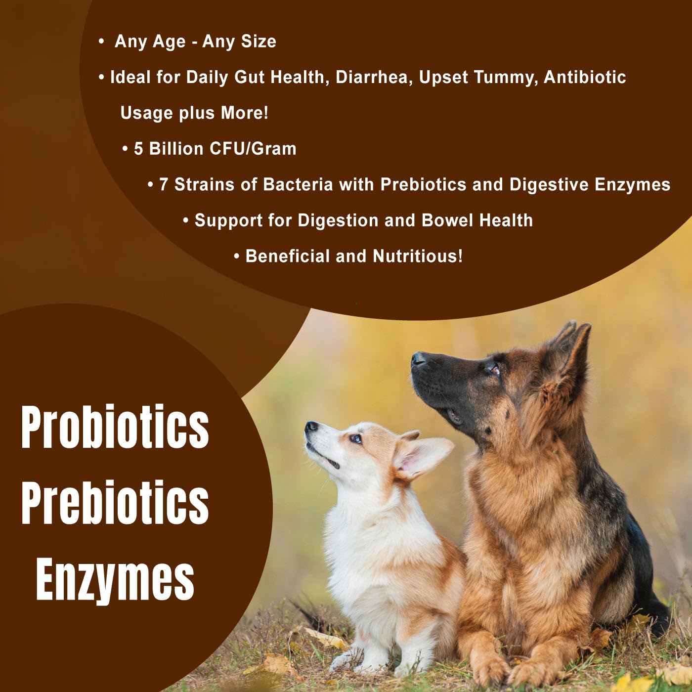 Dogzymes Probiotic Daily Balance - Supplies Nutritional Support and Live microorganisms for intestinal Well-Being as Well as enzymes for Proper Digestion. Liver and Egg Base. (1 Pound)