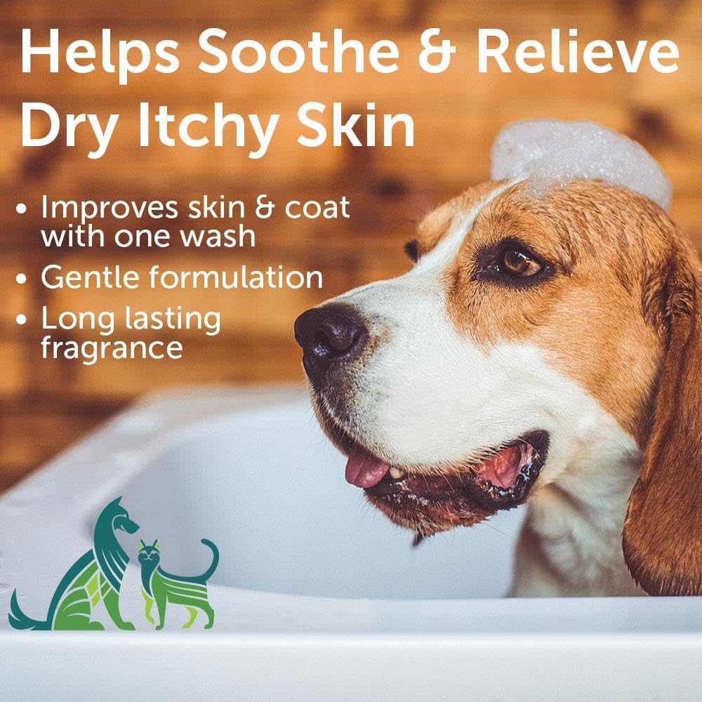 Nootie Cucumber Melon Pet Shampoo for Dogs & Cats, Gentle Oatmeal Formula | 16 oz, dog wash for sensitive skin, helps relieve dry itchy skin for dogs, natural ingredients, cleans & conditions