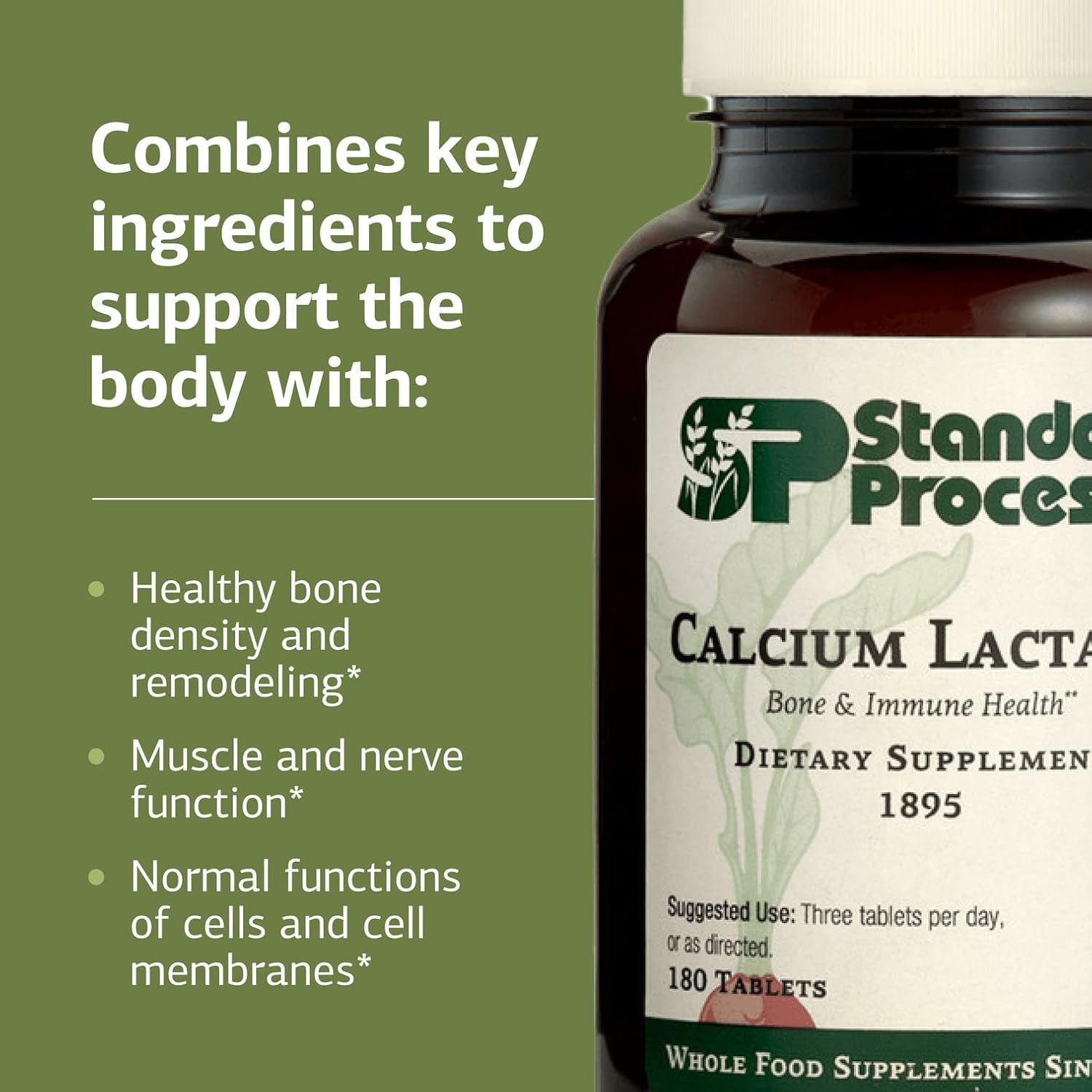 Standard Process - Calcium Lactate Powder - Bone Health & Immune Support - Calcium Magnesium Supplement for Bone Strength & Blood Health - Non-Dairy, Soy & Gluten-Free - 12 oz