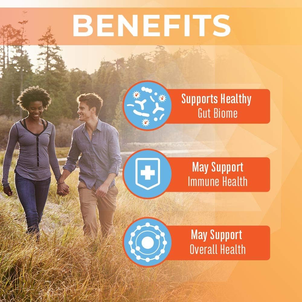 MARYRUTH'S Probiotic Turmeric Curcumin + Extra GI Support, Vegan, 60 Count | 62 Billion CFU, Organic Ingredients Turmeric Complex with Probiotics
