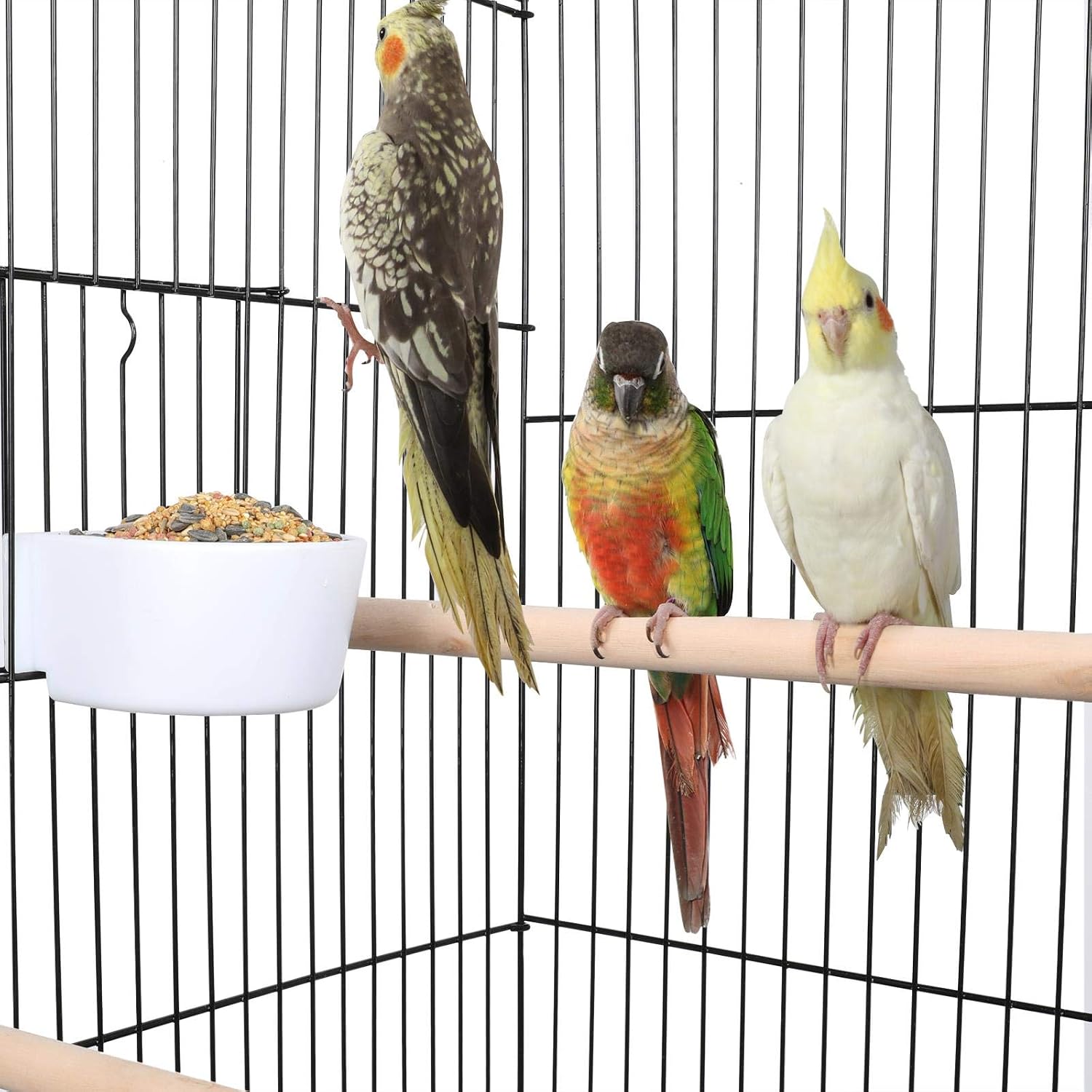 Yaheetech Medium Parakeet Bird Cage for Small Birds Sun Parakeets Green Cheek Cockatiels Conures with Wooden Perches&Rolling Stand, Black