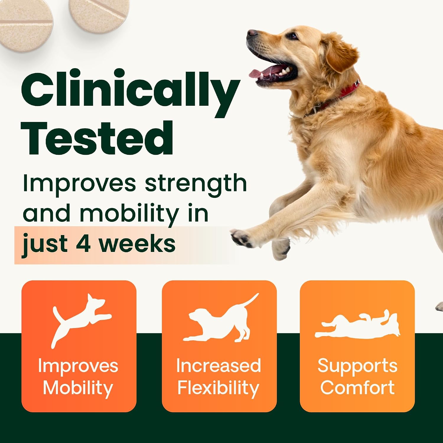 VetriScience Glycoflex 3 Clinically Proven Hip and Joint Supplement for Dogs - Maximum Strength Dog Supplement with Glucosamine, MSM, Green Lipped Mussel & DMG - 120 Count