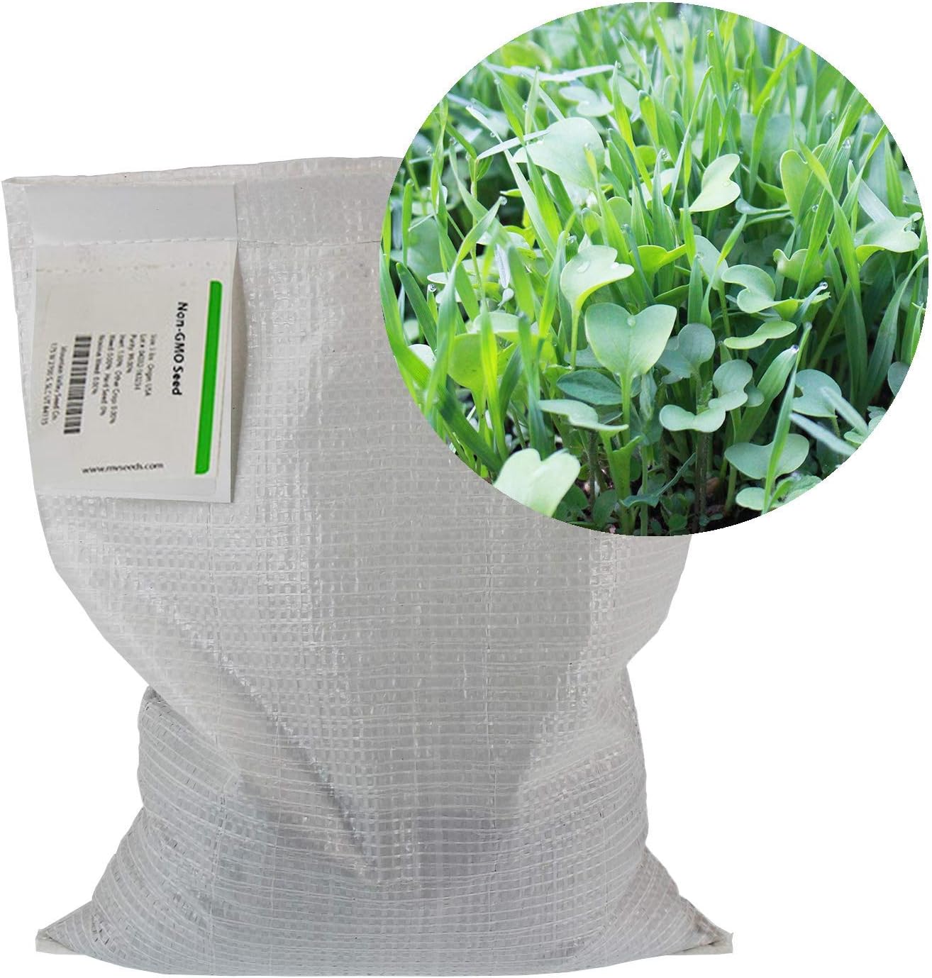 Mountain Valley Seed Co No-Till Garden Farm and Garden Cover Crop Mix Seeds | 5 Lbs - Blend of Gardening Cover Crop Seeds: Hairy Vetch, Daikon Radish, Forage Collards, Triticale, More