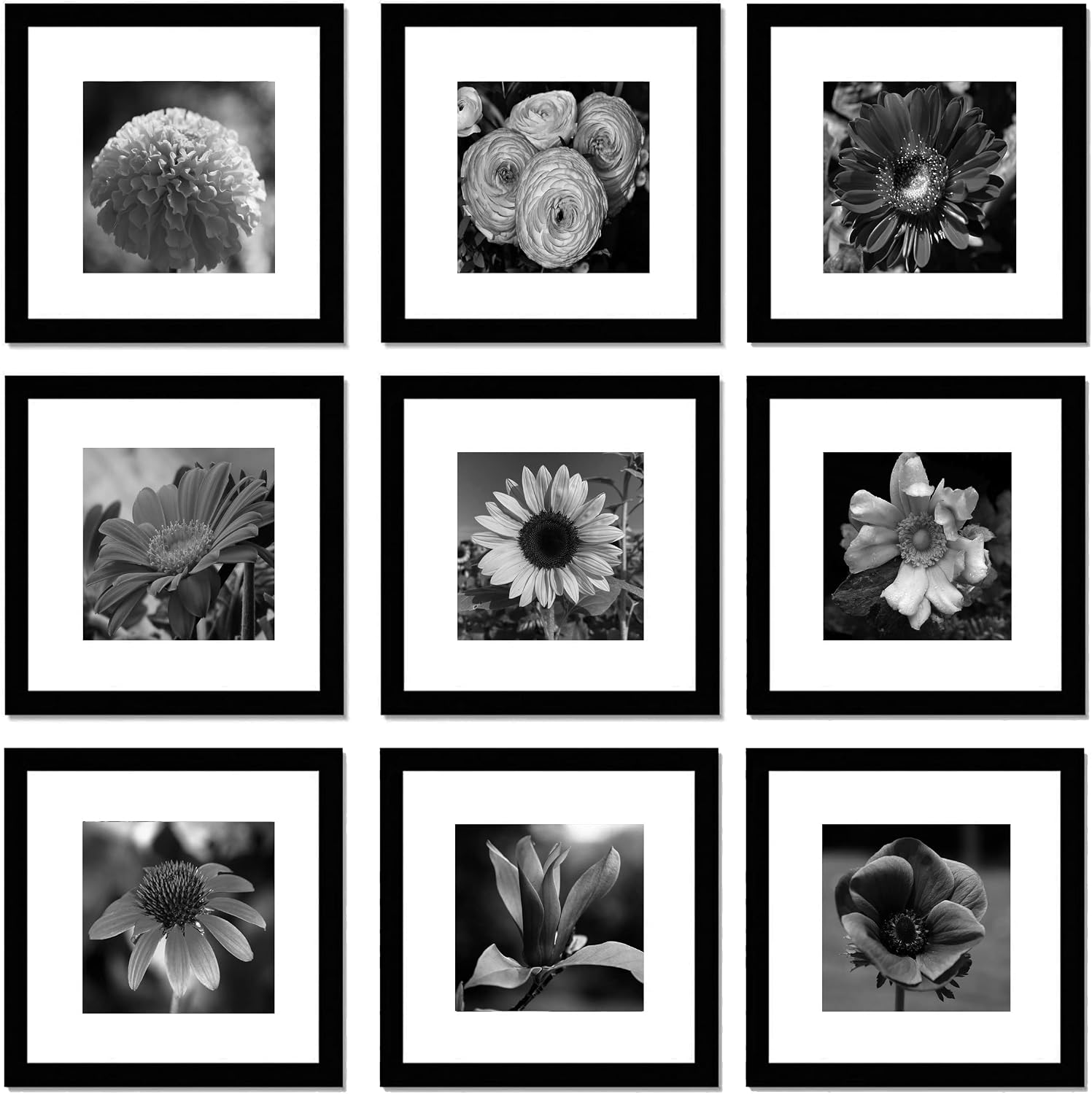 pojah 12x12 Black Picture Frame Set of 4,Wall Frames,HD Plexiglass