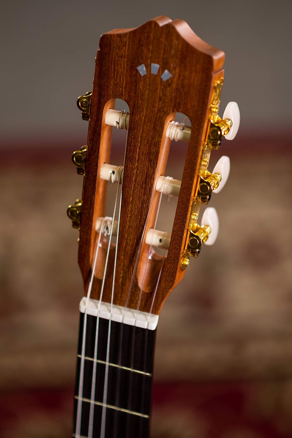 Cordoba C1M-CE Cutaway Nylon String AE Guitar