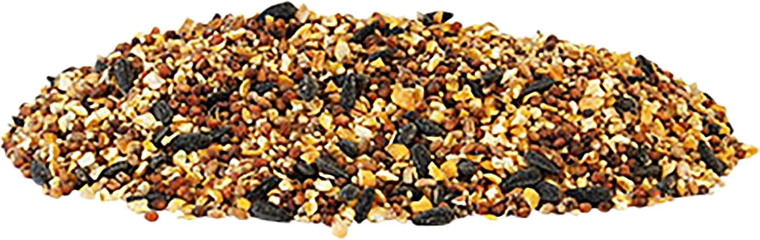 BestNest Wild Bird Seed Mix, Economy Blend, 50 lbs.