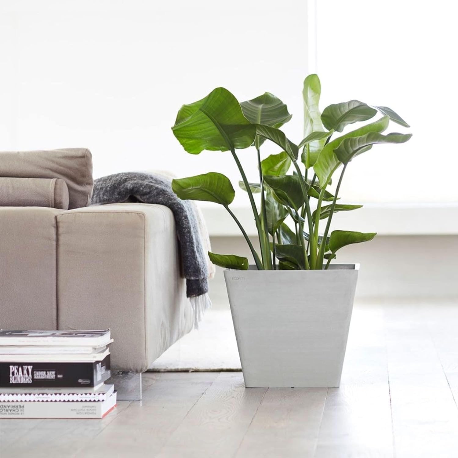 Ecopots Rotterdam Square Flower Planter, White Grey, 8" | Modern Style, Durable Recycled-Based Composite Construction, Weather and UV-Resistant, for Indoor/Outdoor Use