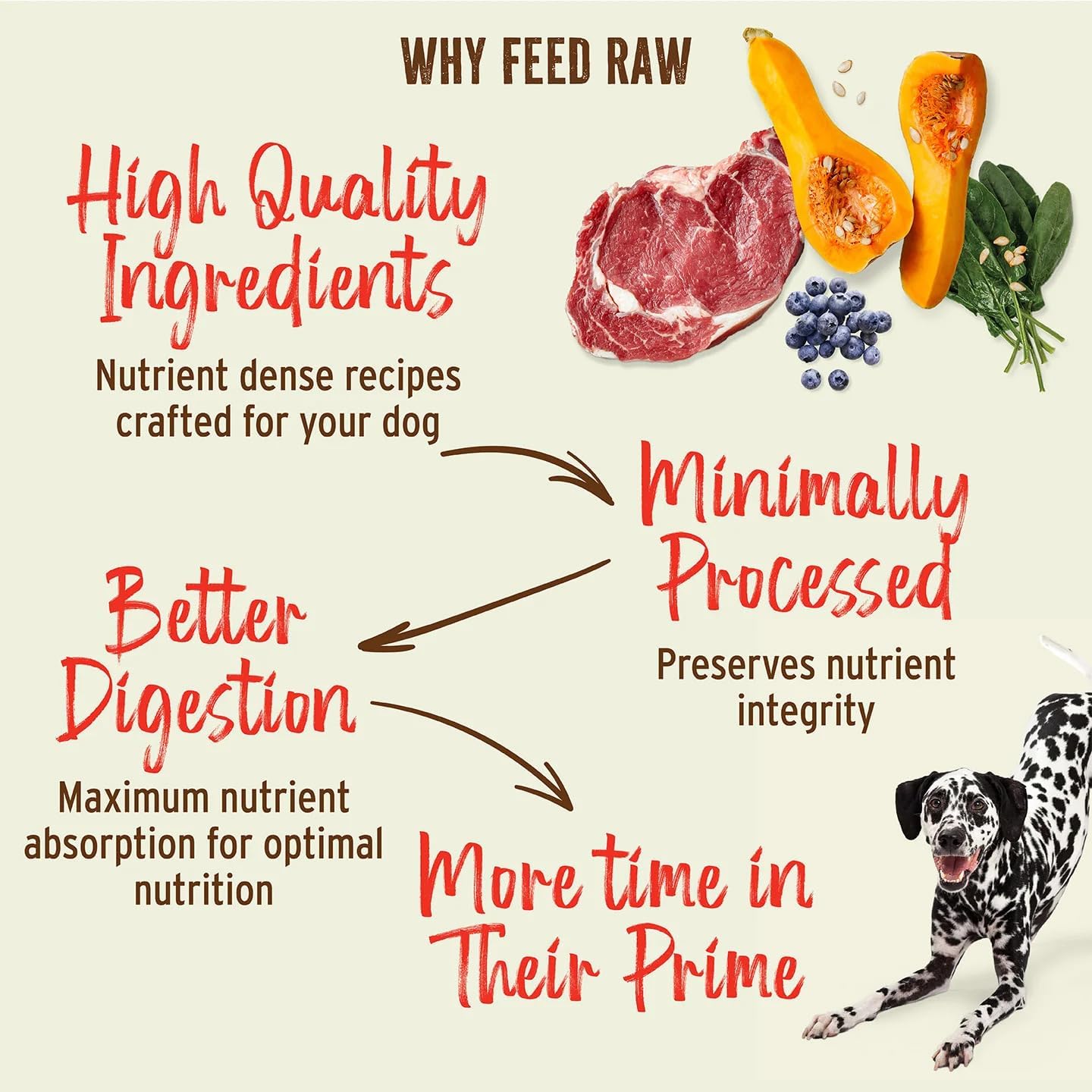 Primal Freeze Dried Raw Dog Food Nuggets, Beef, 14 oz | Complete & Balanced Nutrition, Meal, Topper or Treat, Grain-Free, High Protein, No Synthetic Vitamins & Minerals