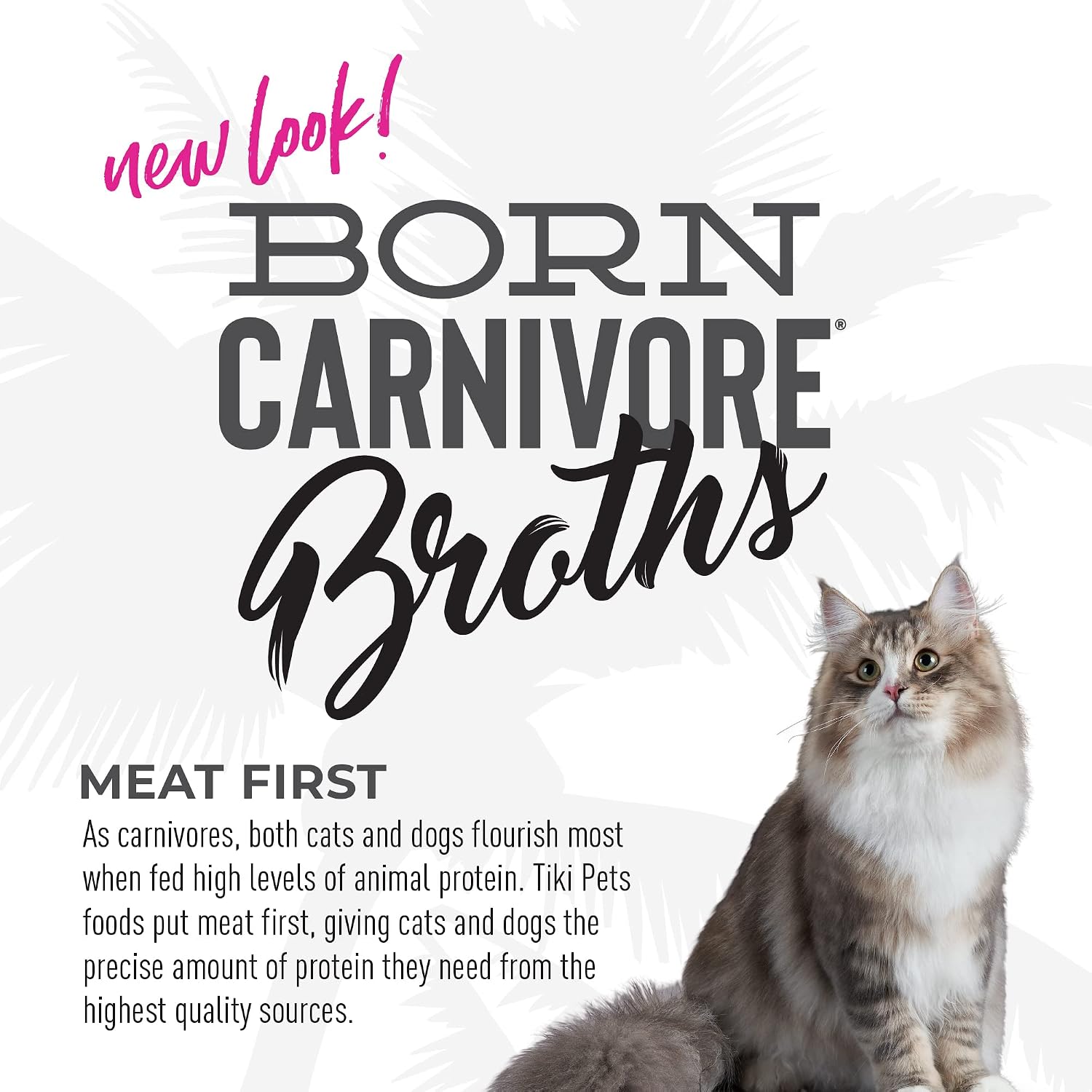 Tiki Cat Born Carnivore Broths Wet Cat Food Toppers, Variety Pack, 1.3 oz. Pouch (12 Count) | Broth with Real Animal Protein for Hydration