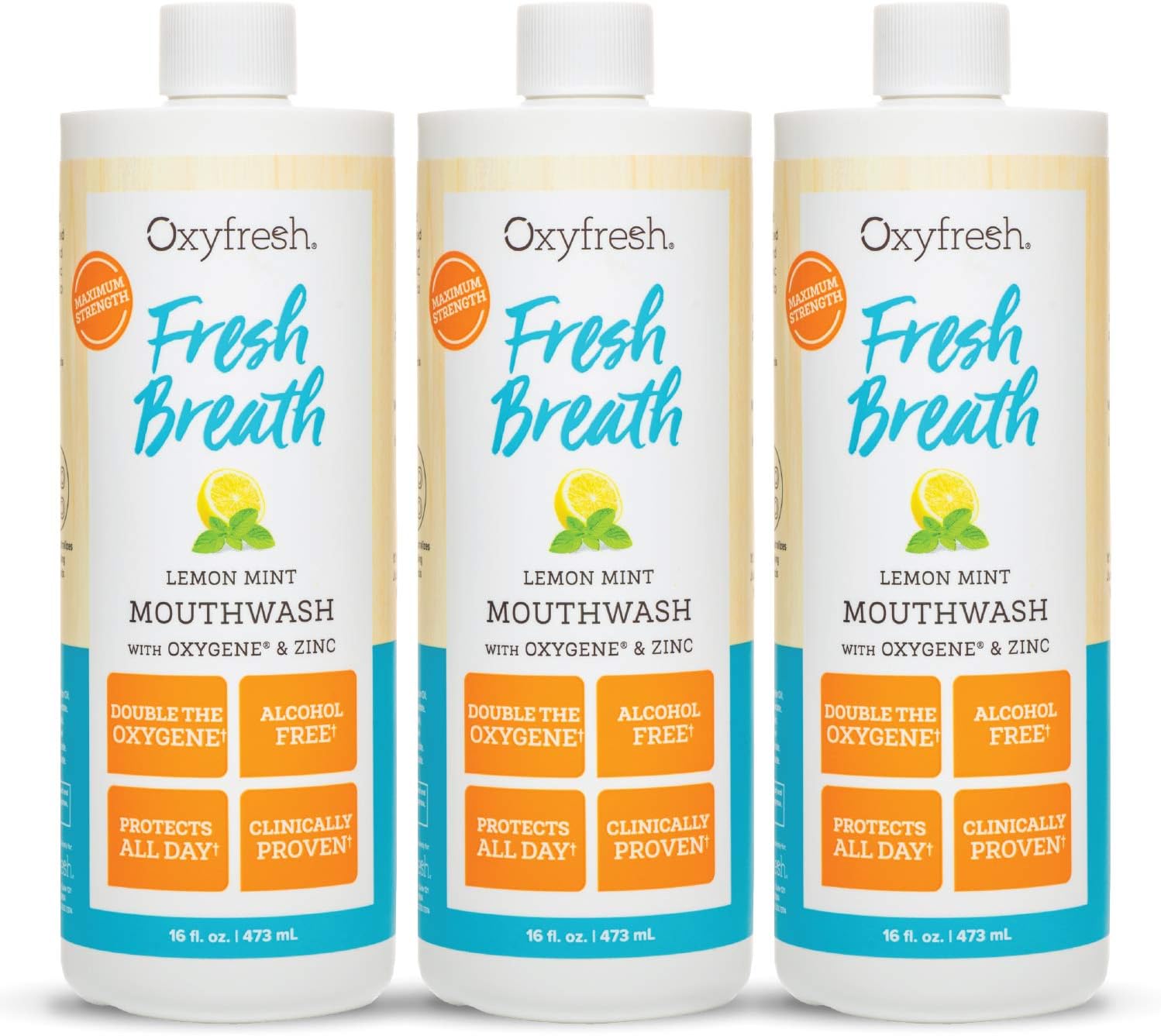 Oxyfresh Lemon Mint Fresh Breath Mouthwash – Bad Breath Treatment – SLS & Fluoride Free – Alcohol Free, Gentle Nonburning with Xylitol & Essential Oils – 16 Fl Oz | Refreshing Oral Rinse for Bad Breath – Alcohol Free, Gentle Non Burning Mouthwash with Xy…